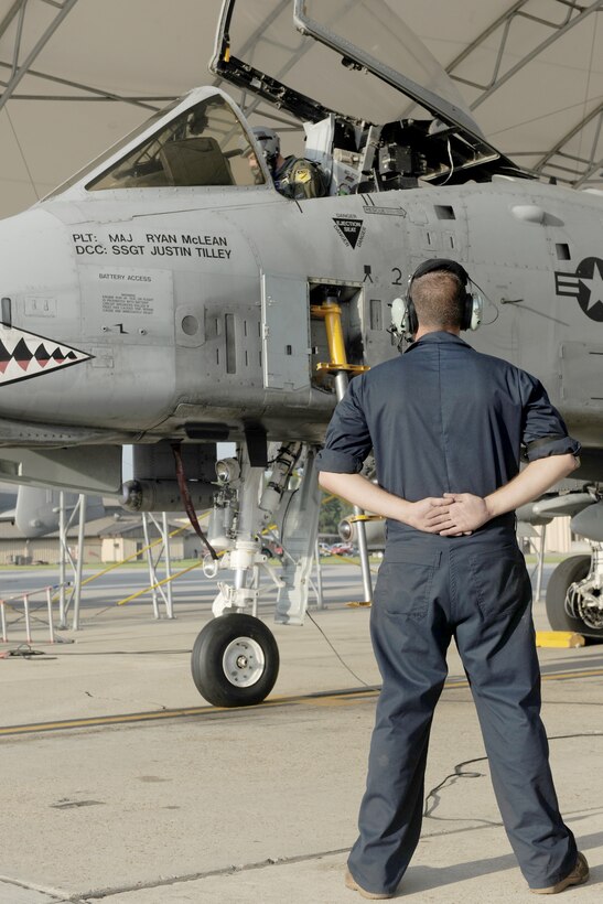 Staff Sgt. David Clifford waits as a pilot completes the preflight checklist Aug. 13, 2010, at Moody Air Force Base, Ga.  Sergeant Clifford is an A-10 Thunderbolt II demonstration team crew chief with the Air Combat Command - East Coast team. (U.S. Air Force photo/Airman 1st Class Benjamin Wiseman)  