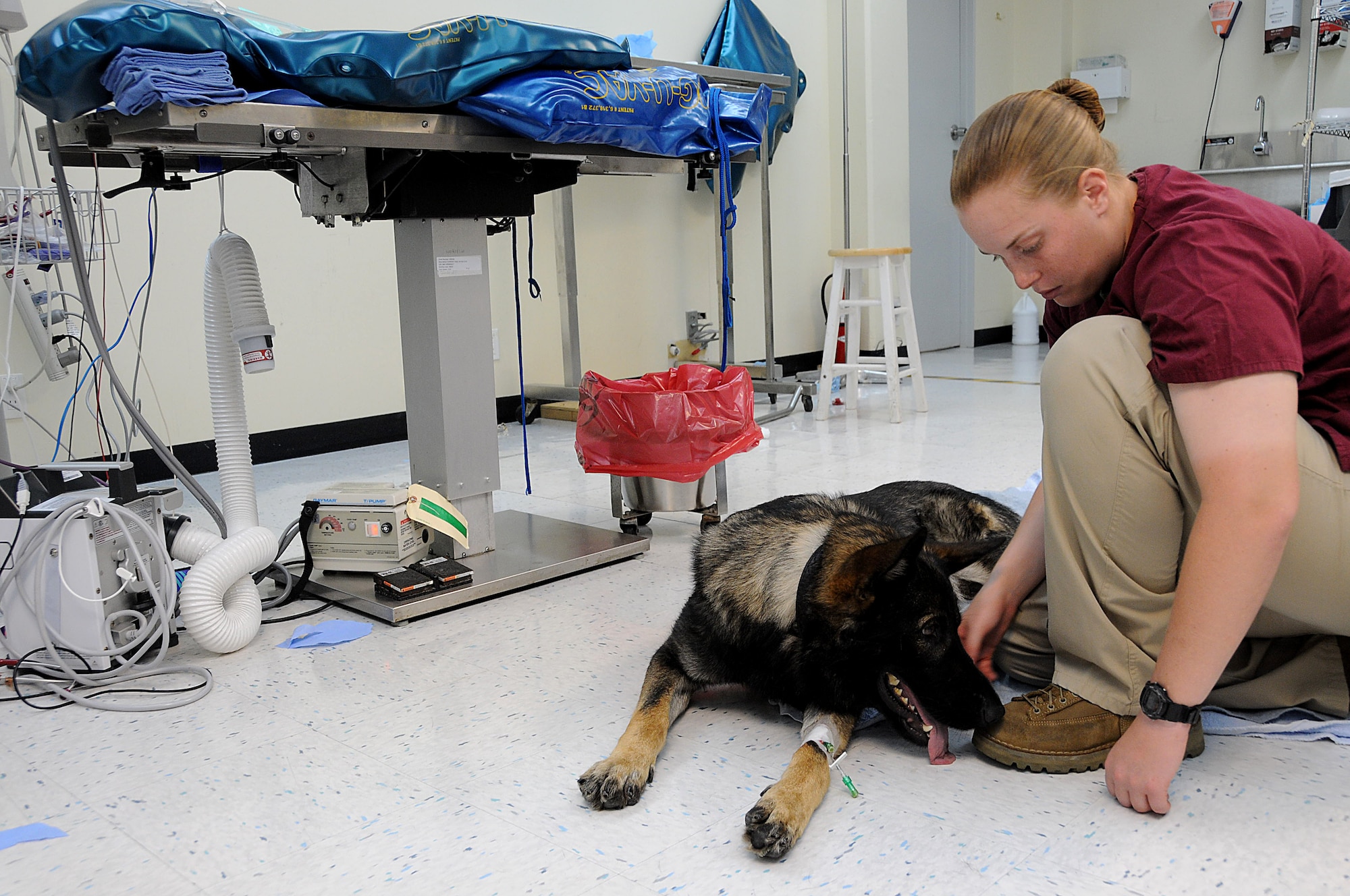 Military Working Dog Nico is greeted by his handler, Marine Corps Lance Cpl. Alyssa Andersen, after awaking from Gastropexy surgery at the veterinary clinic, Kadena Air Base, Japan, Aug. 3, 2010. The Gastropexy surgery was a preventive surgery that ensures the stomach doesn't turn onto itself. (U.S. Air Force photo/Staff Sgt. Darnell T. Cannady)