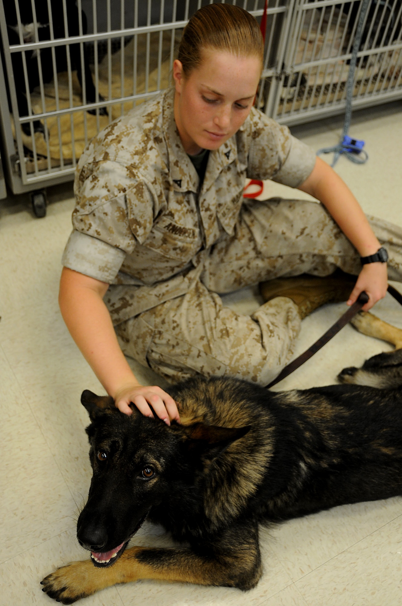 Military Working Dog Handler Marine Corps Lance Cpl. Alyssa Andersen, plays with Nico prior to Gastropexy surgery at the veterinary clinic, Kadena Air Base, Japan, Aug. 3, 2010. Gastropexy surgery is required for all military working dog to prevent the stomach from turning over on itself. (U.S. Air Force photo/Staff Sgt. Darnell T. Cannady)