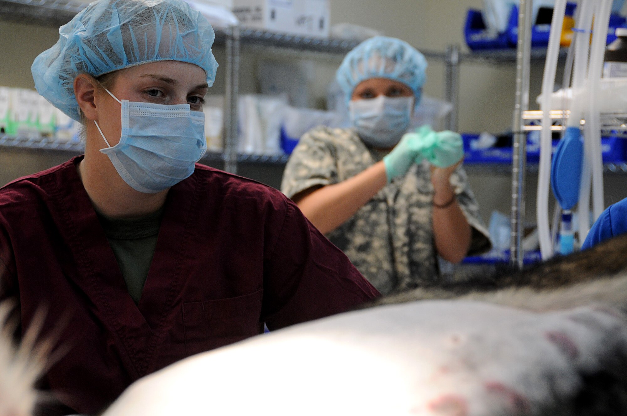 Military Working Dog Handler Marine Corps Lance Cpl. Alyssa Andersen, watches her partner Nico while Army Spc. Kelci Rodebeck, animal care specialist, prepares to assist with the surgery at the veterinary clinic, Kadena Air Base, Japan, Aug. 3, 2010. (U.S. Air Force photo/Staff Sgt. Darnell T. Cannady)