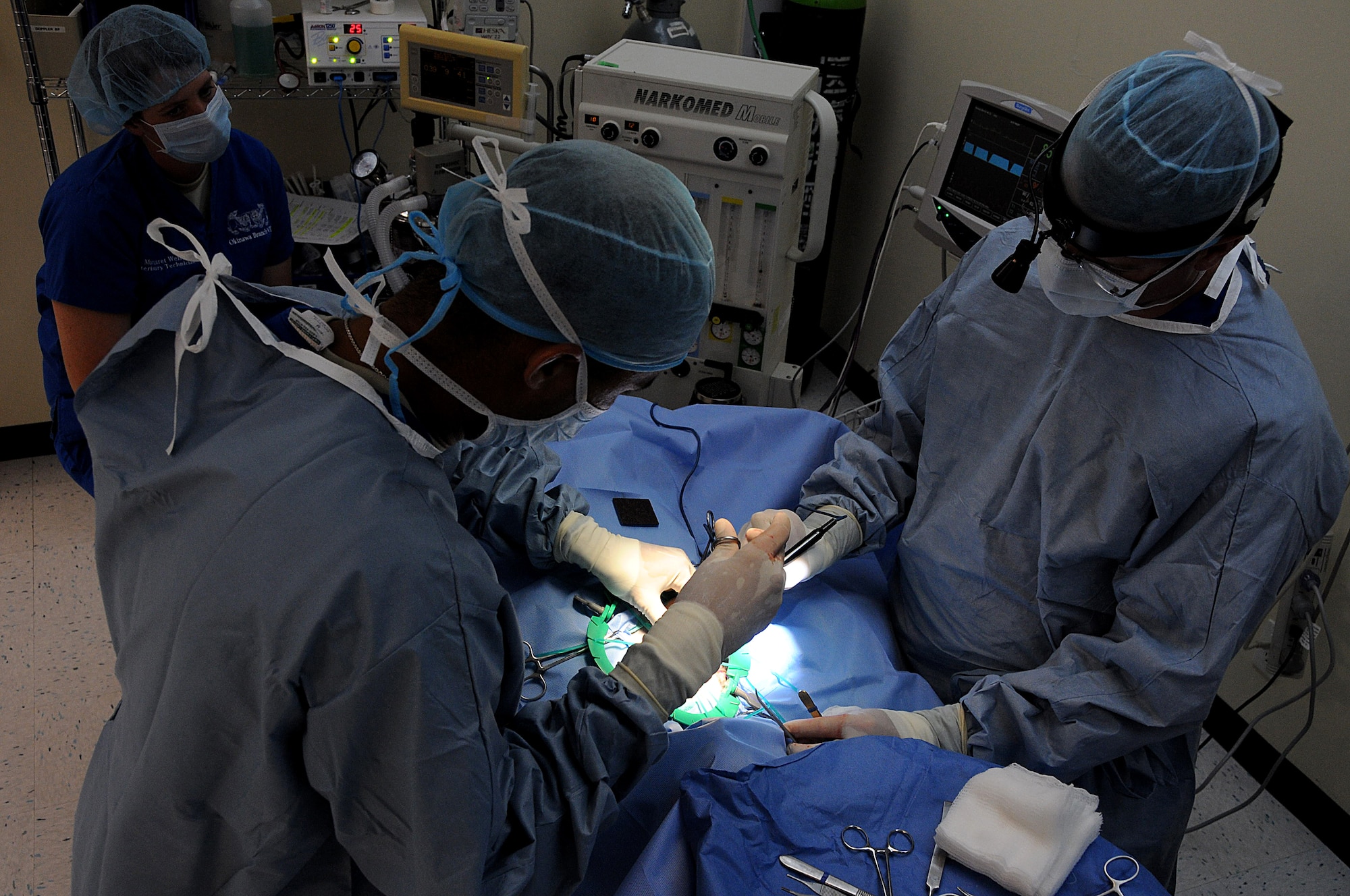 Army Veterinary surgeons Captain William Baskerville and Major Kent Vince perform Gastropexy surgery on  Nico, a military working dog, while Army Spc. Margaret Wells monitors the procedure, at the veterinary clinic, Kadena Air Base, Japan, Aug. 3, 2010. The surgery will secure the right side of the stomach to the right side of the body wall. (U.S. Air Force photo/Staff Sgt. Darnell T. Cannady)