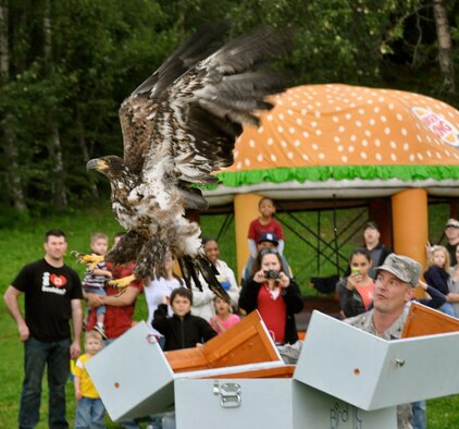 Col. Eric Overturf, 477th Fighter Group commander, releases an American Bald back into the wild, Aug. 15. (Courtesy Photo)
