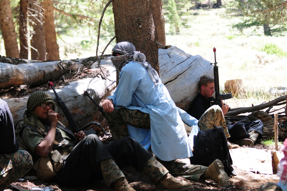 Marines from the Marine Corps Air Station in Yuma, Ariz., and infantrymen from 2nd Battalion, 5th Marine Regiment, wait to simulate an ambush on Marines with 1st Battalion, 5th Marine Regiment, Aug. 19, 2010, at the Marine Corps Mountain Warfare Training Center approximately 20 miles northwest of Bridgeport, Calif. At an average altitude of 6,764 feet above sea level, some mountains reach higher than 11,000 feet. Both battalions are scheduled to deploy to Afghanistan in April 2011.