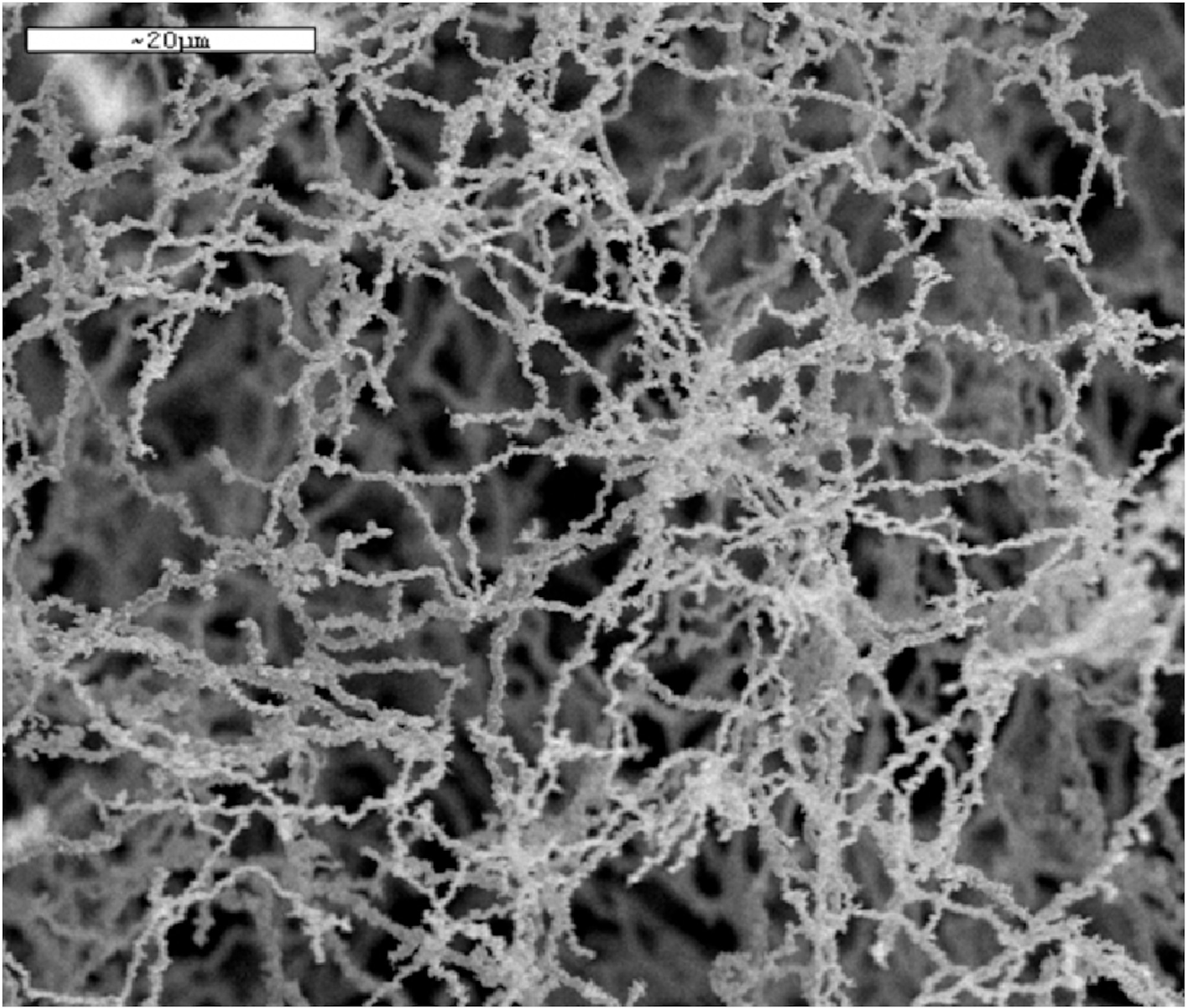 Pictured is a microscopic image of nickel nanostrands which, when used to create a new class of high-performance polymeric coatings, enable electrical conductivity and color (for respective electromagnetic and optical spectrum management applications) in a single material. (AFRL image)