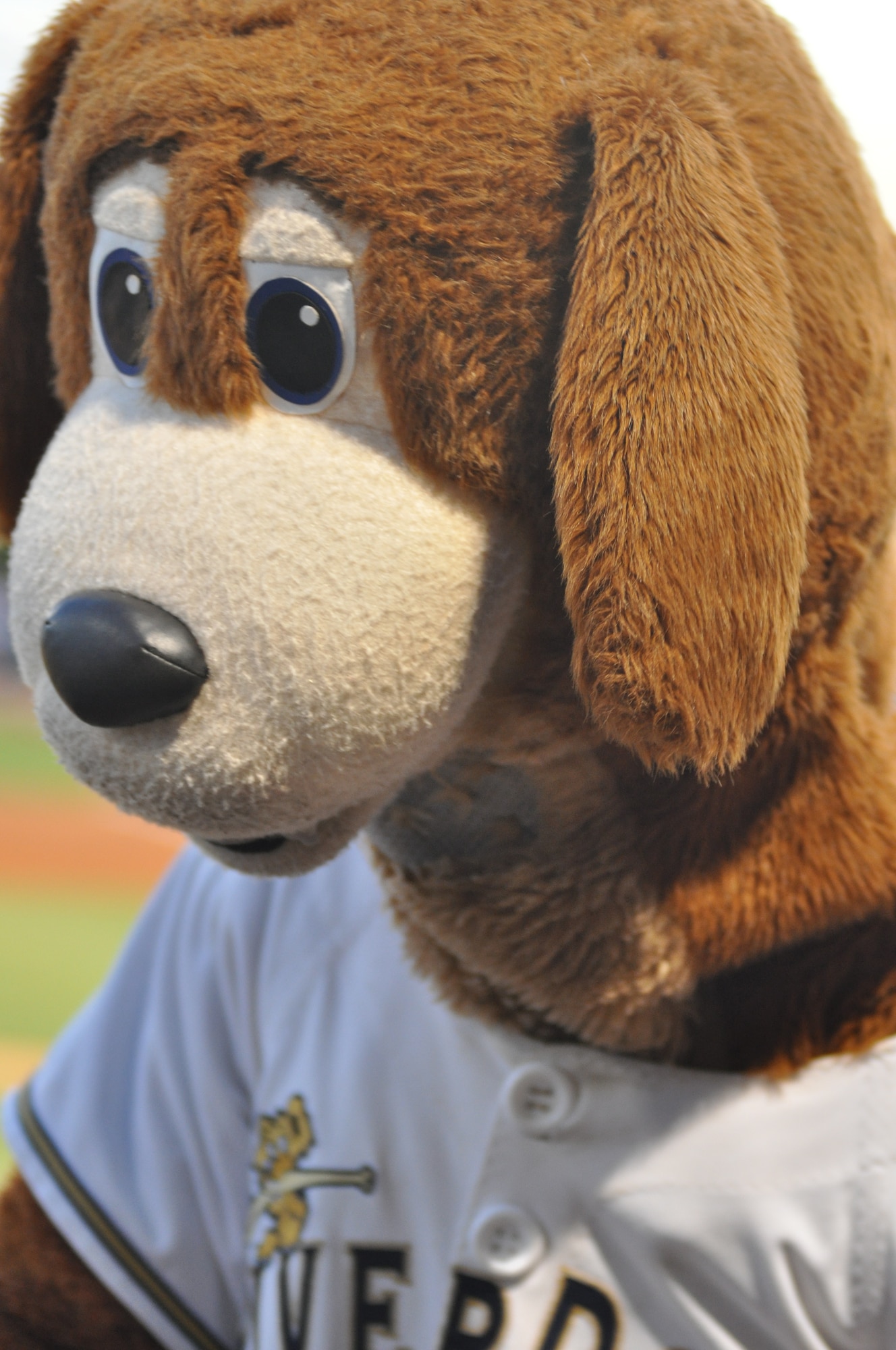 RiverDogs mascot at the military appreciation night baseball game Aug 19, 2010 at Joseph P. Riley, Jr. Park in Charleston, S.C. (U.S. Air Force photo/Staff Sgt. Shane Ellis)