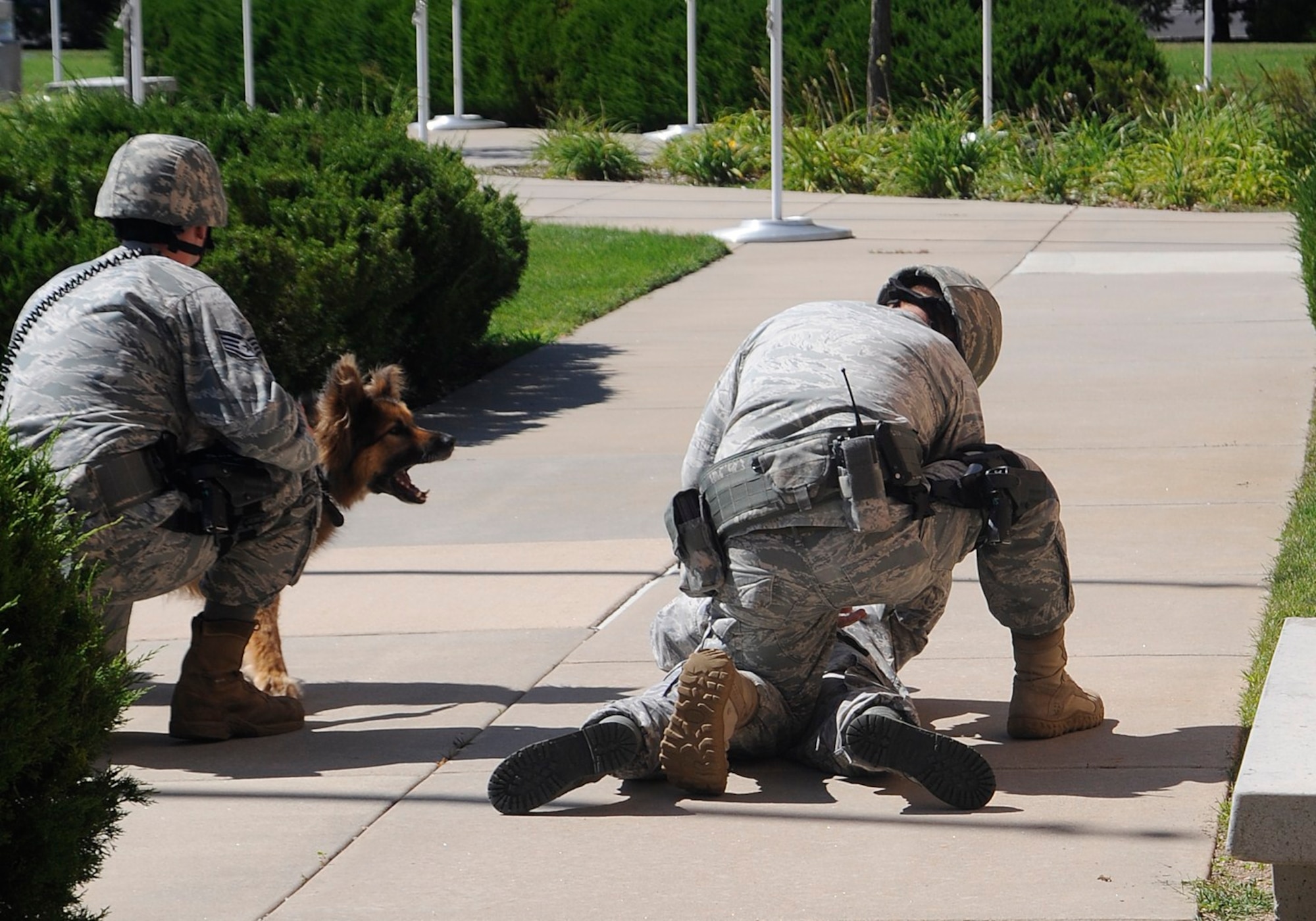 Members of the 21st Security Forces Squadron, including a military working dog, take down a suspect in an active shooter scenario during the quarterly Condor Crest exercise on Peterson Air Force Base Aug. 16 to 20. Since the November 2009 shooting at Fort Hood, Texas, Peterson personnel now practice responses to an active shooter scenario in every Condor Crest exercise. (U.S. Air Force photo/Dennis Howk) 