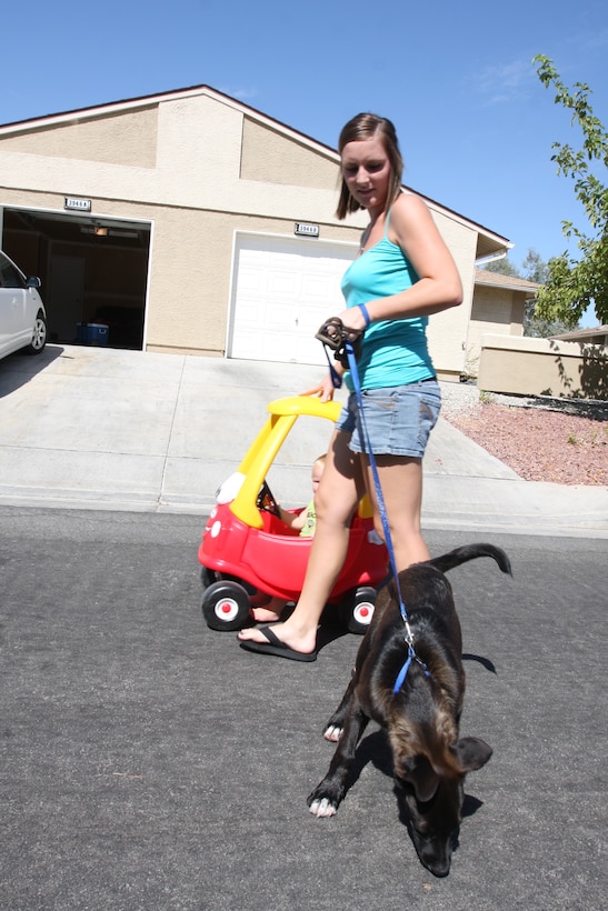 A member of the Combat Center community spends the afternoon walking her dog at Ocotillo Heights, Wednesday. “A big thing owners worry about is traveling with their pets,” said Ernest Robinson, transportation assistant for TMO. Air Mobility Command limited so planning ahead of time can save an owner the hassle.