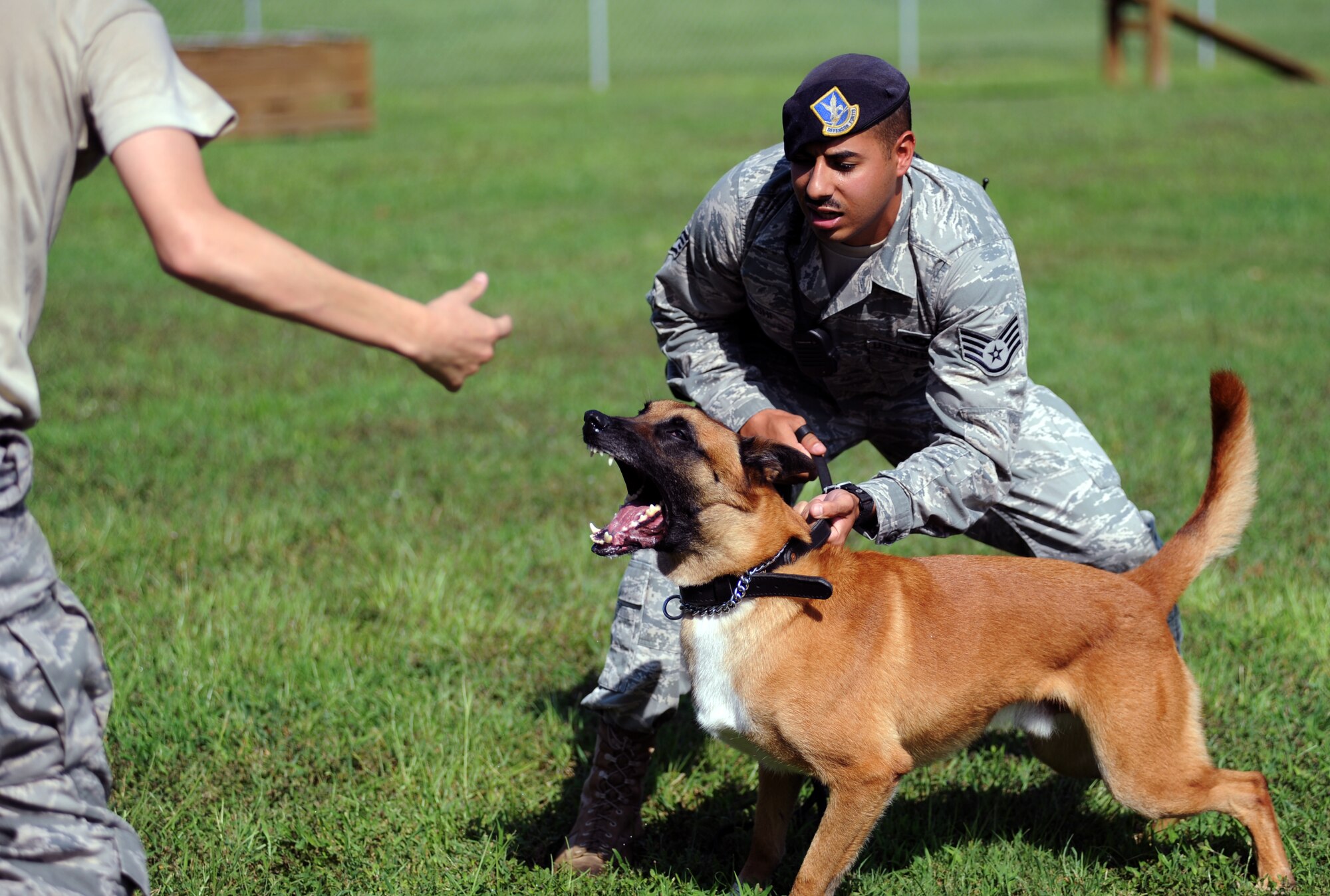 Military working dog Arton shows aggression while protecting his handler Aug. 20, 2010, on Joint Base Charleston, S.C. MWDs are trained to protect their handlers from aggressive individuals with or with out a command. U.S. Air Force Staff Sgt. Fazel Munshi and his dog Arton have been training together and building a rapport for approximately one year. Sergeant Munshi is a dog handler with the 628th Security Forces Squadron. (U.S. Air Force photo/Senior Airman Timothy Taylor)