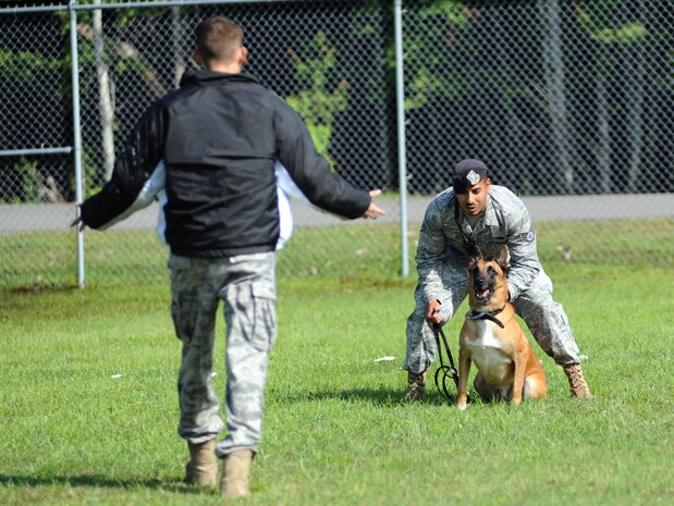 U.S. Air Force Staff Sgt. Fazel Munshi gives his military working dog Arton the command, "watch him", as U.S. Air Force Staff Sgt. Craig Martin plays the role of an uncooperative suspect during a controlled aggression exercise Aug. 20, 2010, on Joint Base Charleston, S.C. MWDs are trained to attack suspects with or without commands from their dog handlers. Sergeant Martin wore a protective jacket to protect himself from the dog's bite as he role-played as a suspect. Sergeants Martin and Munshi are dog handlers with the 628th Security Forces Squadron. (U.S. Air Force photo/Senior Airman Timothy Taylor)