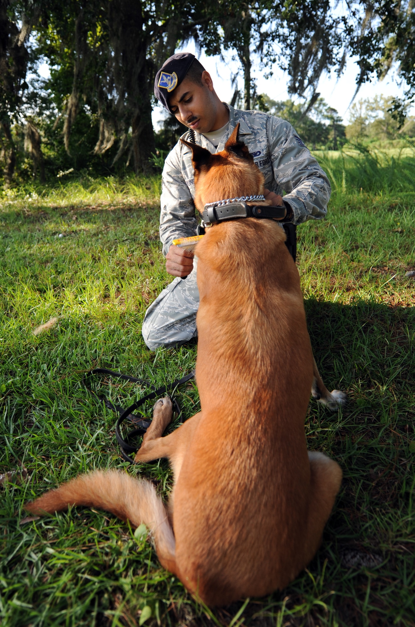 U.S. Air Force Staff Sgt. Fazel Munshi grooms his military working dog Arton in the shade near the MWD compound Aug. 20, 2010, on Joint Base Charleston, S.C. Grooming encourages a healthy coat and healthy skin, which in turn assists in preventing hotspots, bald spots and rashes. Sergeant Munshi is a dog handler with the 628th Security Forces Squadron. (U.S. Air Force photo/Senior Airman Timothy Taylor)