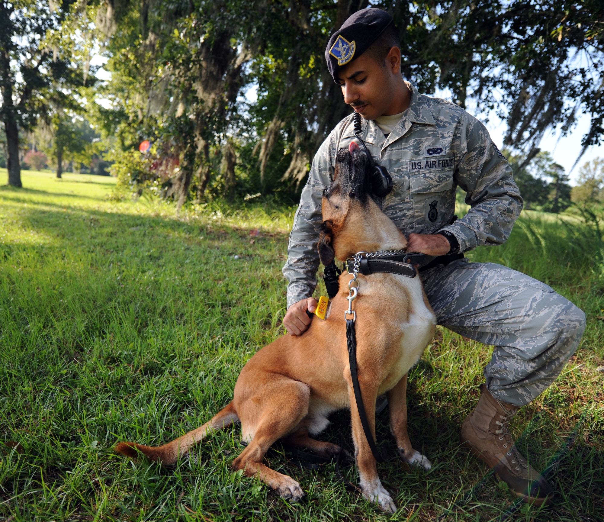 U.S. Air Force Staff Sgt. Fazel Munshi grooms his military working dog Arton in the shade near the MWD compound Aug. 20, 2010, on Joint Base Charleston, S.C. Grooming and hygiene is one of the most important parts of building rapport between the MWD and handler. Sergeant Munshi is a dog handler with the 628th Security Forces Squadron. (U.S. Air Force photo/Senior Airman Timothy Taylor)