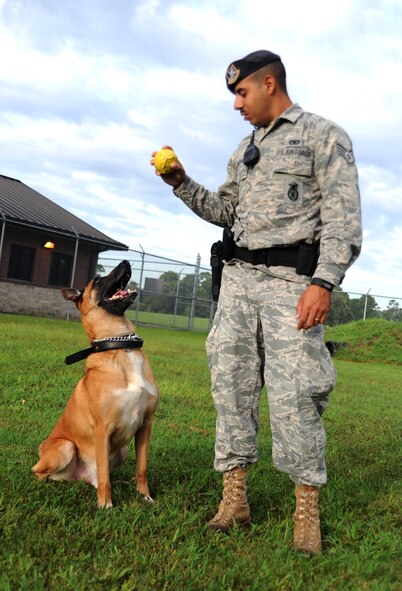 U.S. Air Force Staff Sgt. Munshi and his military working dog Arton play fetch at the MWD compound Aug. 20, 2010, on Joint Base Charleston, S.C. Taking time to play with the dog helps with building a strong rapport and is a key element for the handler to maintain a close bond with his dog. Sergeant Munshi is a dog handler with the 628th Security Forces Squadron. (U.S. Air Force photo/Senior Airman Timothy Taylor)