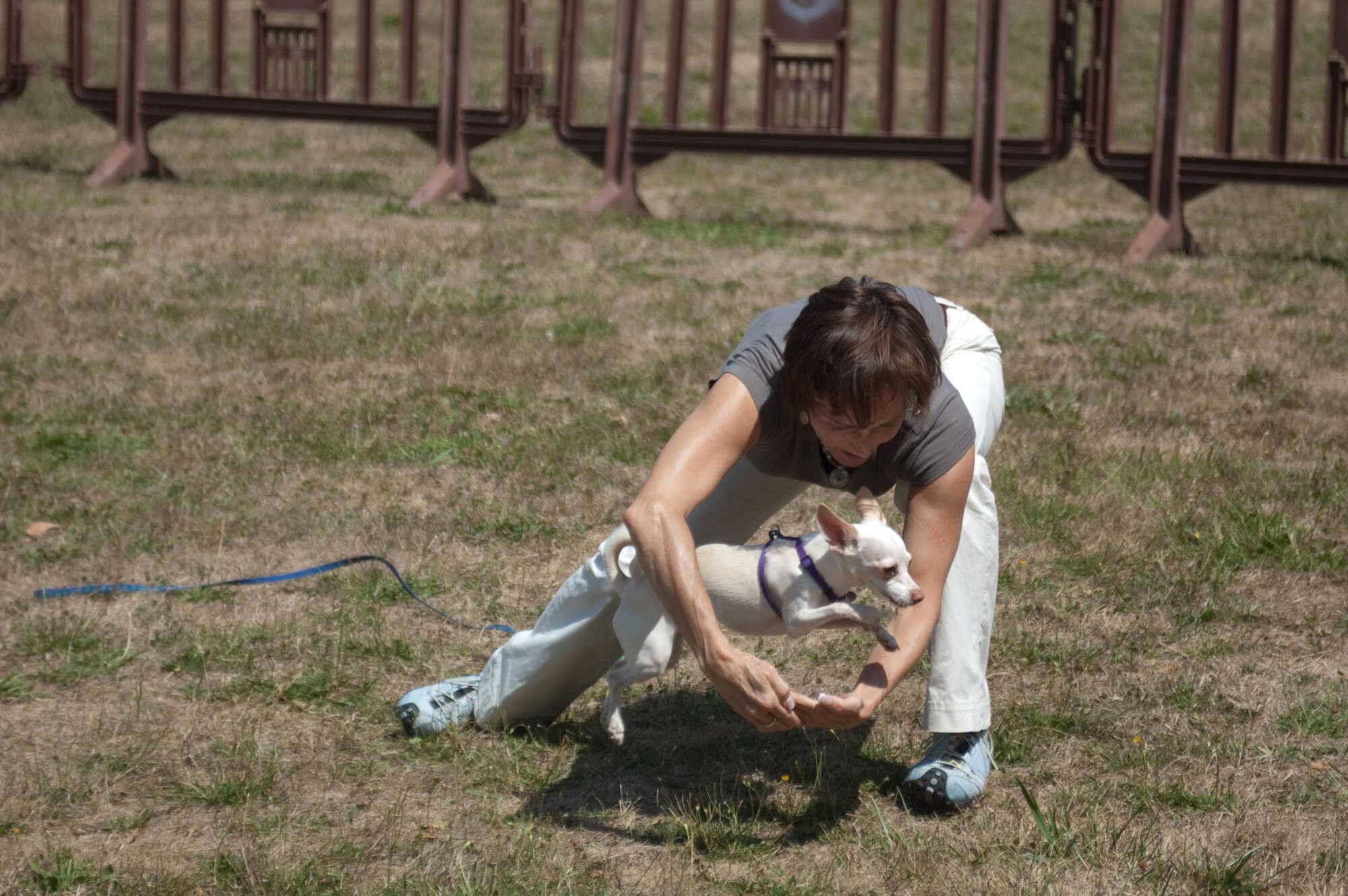 HANSCOM AIR FORCE BASE, Mass. – Bija Satterlee shows her dog, Ivy, will jump through hoops for her during the Community Dog Show at Memorial Park on Aug. 21. Ivy won first place for Best Tricks. In addition to Best Tricks, owners brought their dogs to compete in contests such as dog and owner look-alike, cutest and best dressed. (U.S. Air Force photo by Lance Beebe)
