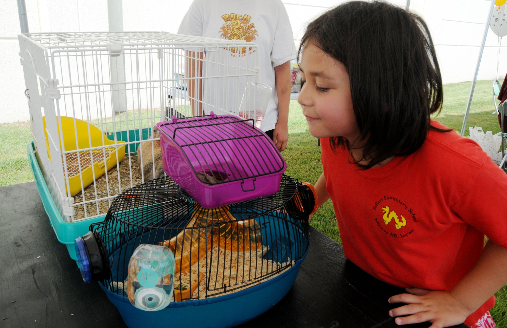 Lily Tayag, 6, daughter of Department of Defense Dependents School teacher, John Tayag, watches a hamster play during Misawa AAFES pet show Saturday. (U.S. Air Force photo/Tech. Sgt. Kelly White)