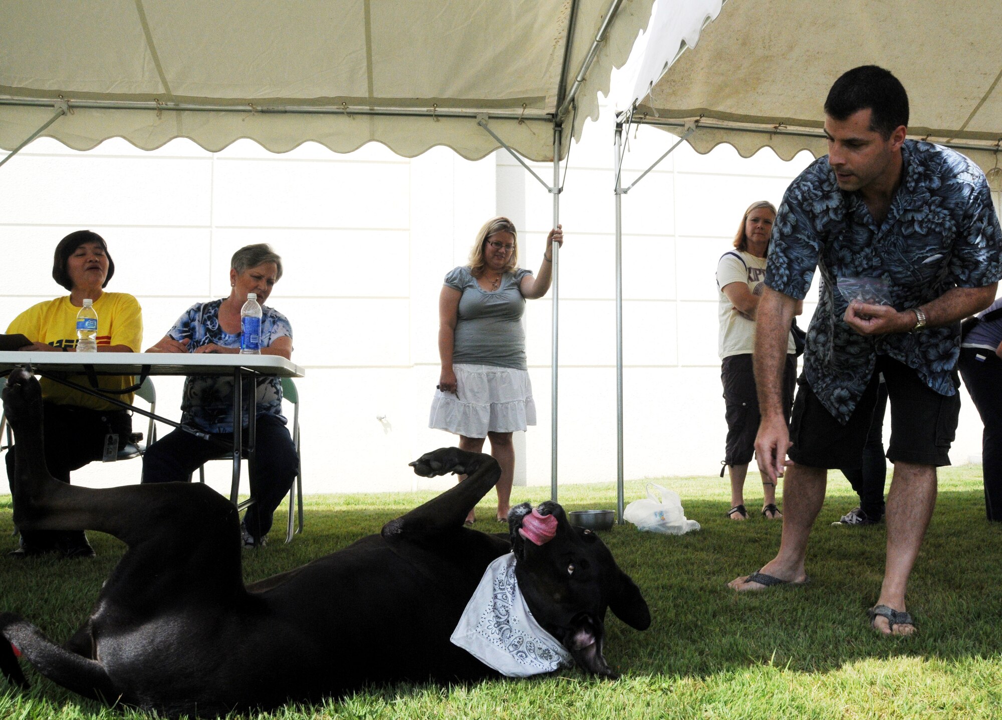 MISAWA AIR BASE, Japan -- Senior Master Sgt. Steven Tuggle, 35th Maintenance Squadron, commands his dog, Kaiser, to roll over during the AAFES pet show Saturday at Misawa Air Base, Japan. Kaiser won two categories during the show; largest pet and most tricks. (U.S. Air Force photo/Tech. Sgt. Kelly White) 