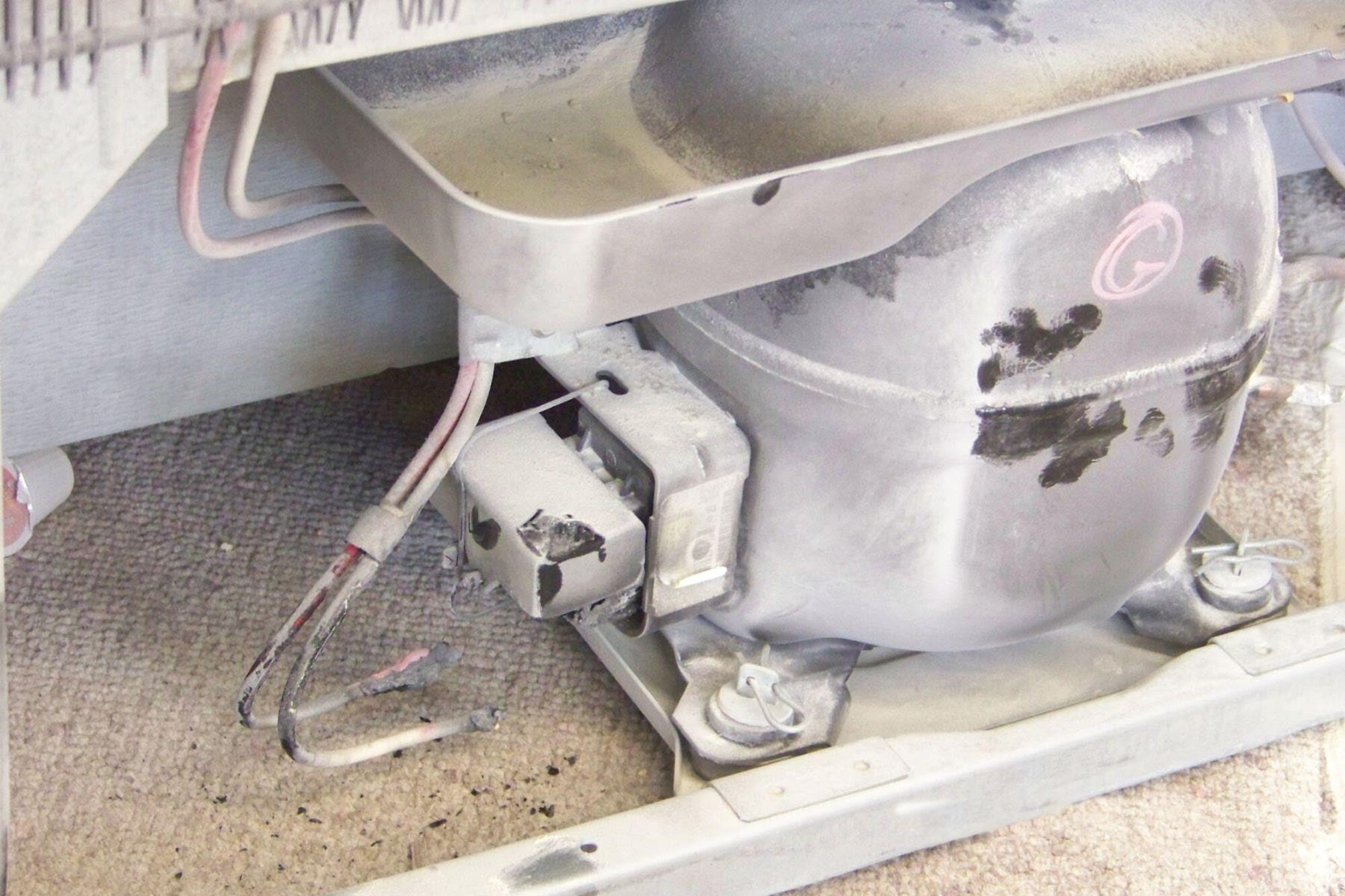 Officials believe these wires to the refrigerator’s compressor relay shorted out, causing the fire. (Photo by Wayne Jennings)