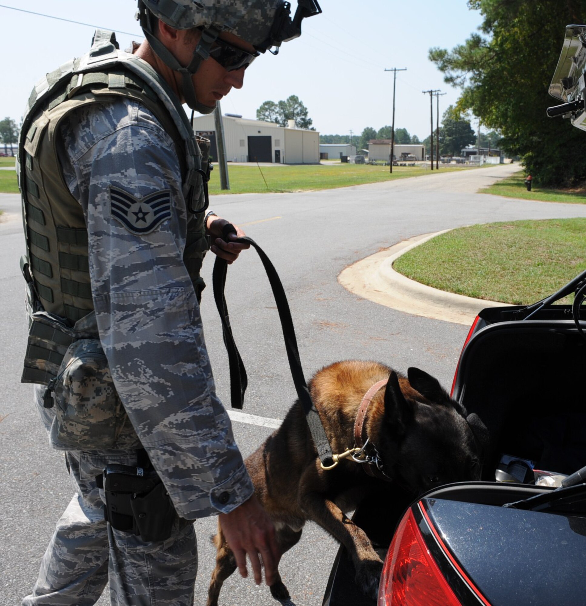 SEYMOUR JOHNSON AIR FORCE BASE, N.C. -- Staff Sgt. Andrew Rounds and his military working dog, Ralph, search a trunk while conducting a drug search during operation readiness exercise Coronet Warrior 10-5 here Aug. 31, 2010. Sergeant Rounds, 4th Security Forces Squadron dog handler, hails from Oakland, Md. (U.S. Air Force photo/Senior Airman Gino Reyes) 