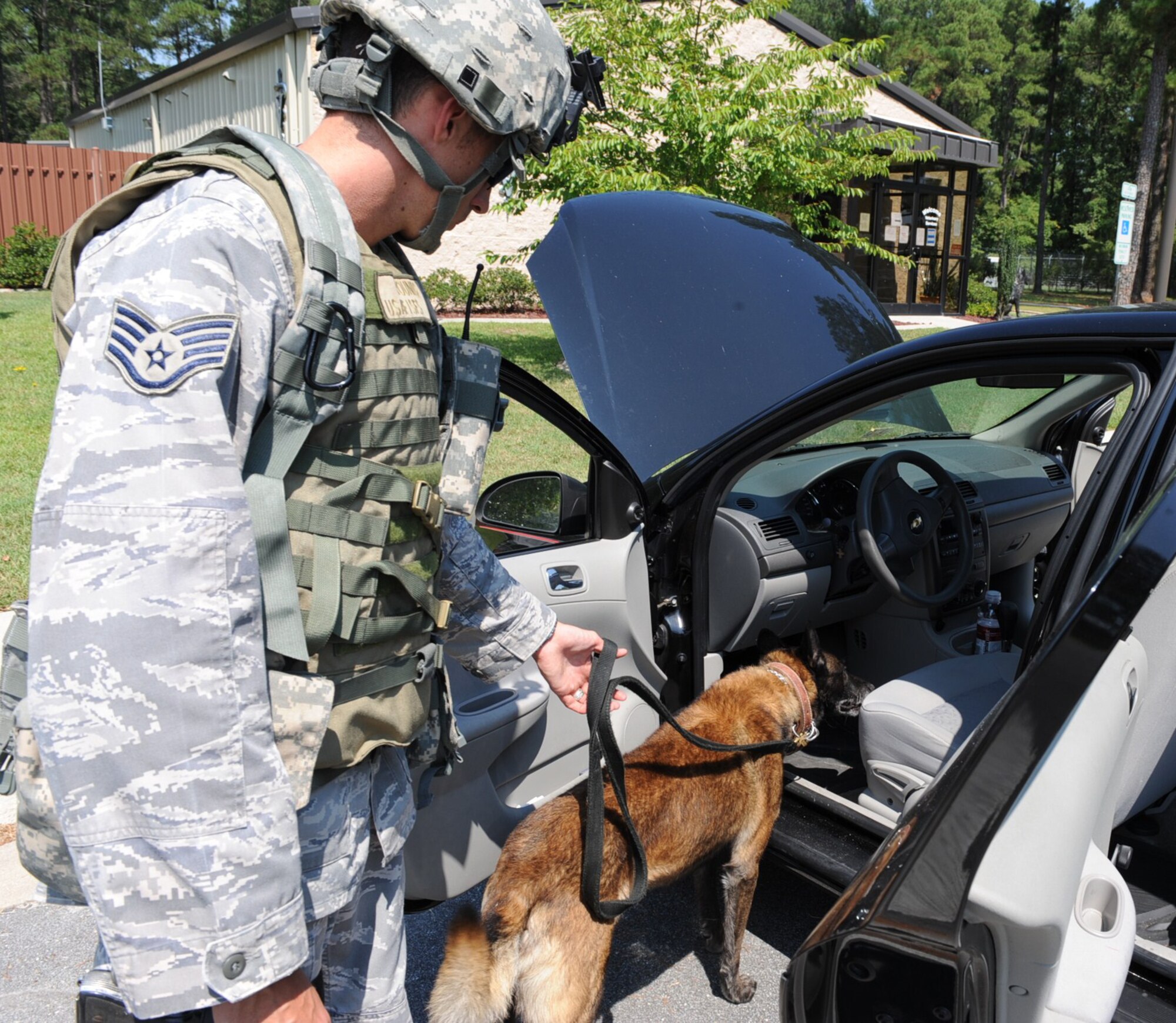 SEYMOUR JOHNSON AIR FORCE BASE, N.C. -- Staff Sgt. Andrew Rounds and his military working dog, Ralph, perform a drug search on a vehicle during operation readiness exercise Coronet Warrior 10-5 here Aug. 31, 2010. The exercise is preparation for the 4th Fighter Wing's operation readiness inspection in October. Sergeant Rounds, 4th Security Forces Squadron military working dog handler, hails from Oakland, Md.  (U.S. Air Force photo/Senior Airman Gino Reyes)