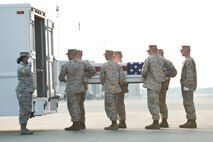 A U.S. Marine Corps team transfers the remains of Marine Corps Lance Cpl. Kevin E. Oratowski, of Wheaton, Ill., at Dover Air Force Base, Del., August 20. Lance Cpl. Oratowski was assigned to 1st Light Armored Reconnaissance Battalion, 1st Marine Division, I Marine Expeditionary Force, Camp Pendleton, Calif.  (U.S. Air Force photo/Roland Balik)