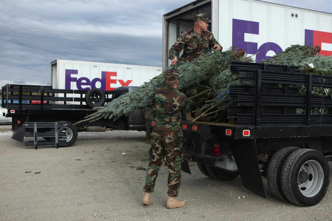 MARINE CORPS BASE CAMP LEJEUNE, N.C. - Coast Guardsmen with the Joint Maritime Training Center, Marine Corps Base Camp Lejeune load up trees for their office and service members during the Trees for Troops event at Onslow Beach aboard the base, Dec. 1.  More than 800 trees were handed out to service members and their families in less than 90 minutes.