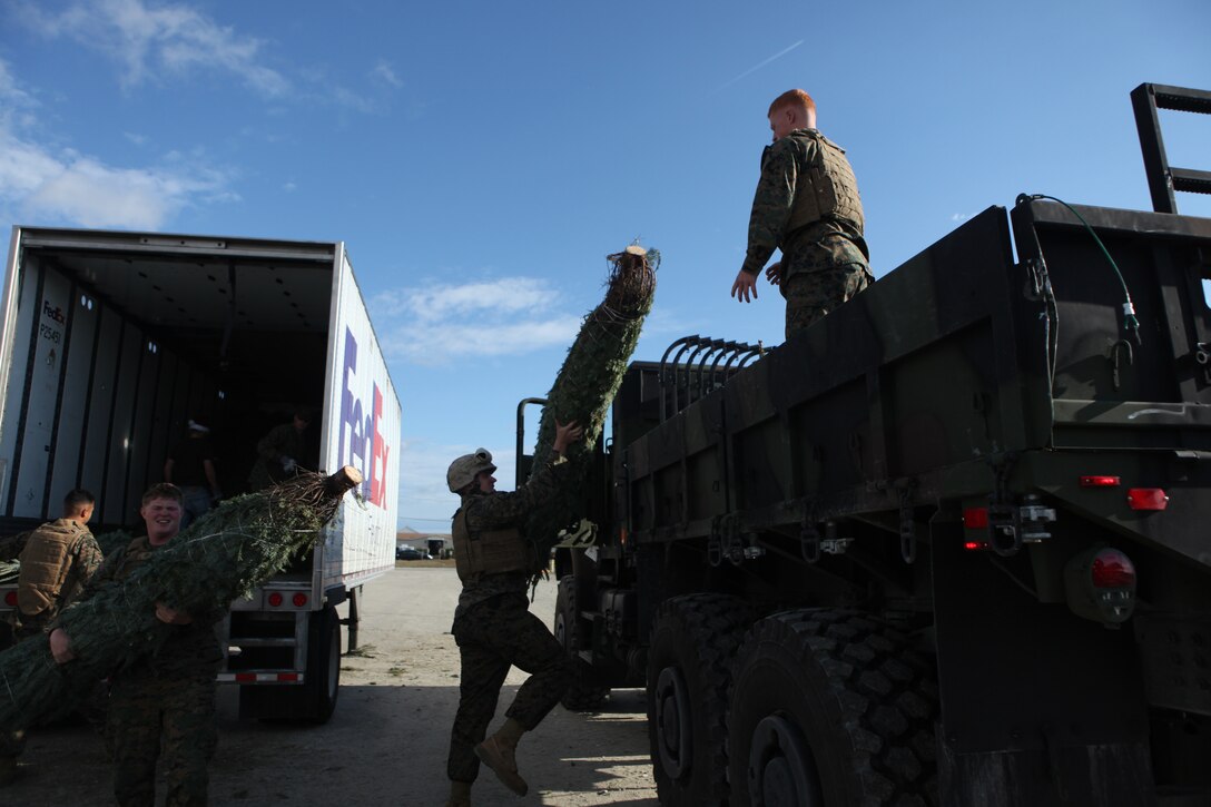 MARINE CORPS BASE CAMP LEJEUNE, N.C. - Marines with Combat Logistics Battalion 6, Combat Logistics Regiment 2, 2nd Marine Logistics Group, load trees onto their medium tactical vehicle replacement during the Trees for Troops event at Onslow Beach, Marine Corps Base Camp Lejeune, Dec. 1. More than 800 trees of all shapes and sizes were given away to service members and their families.