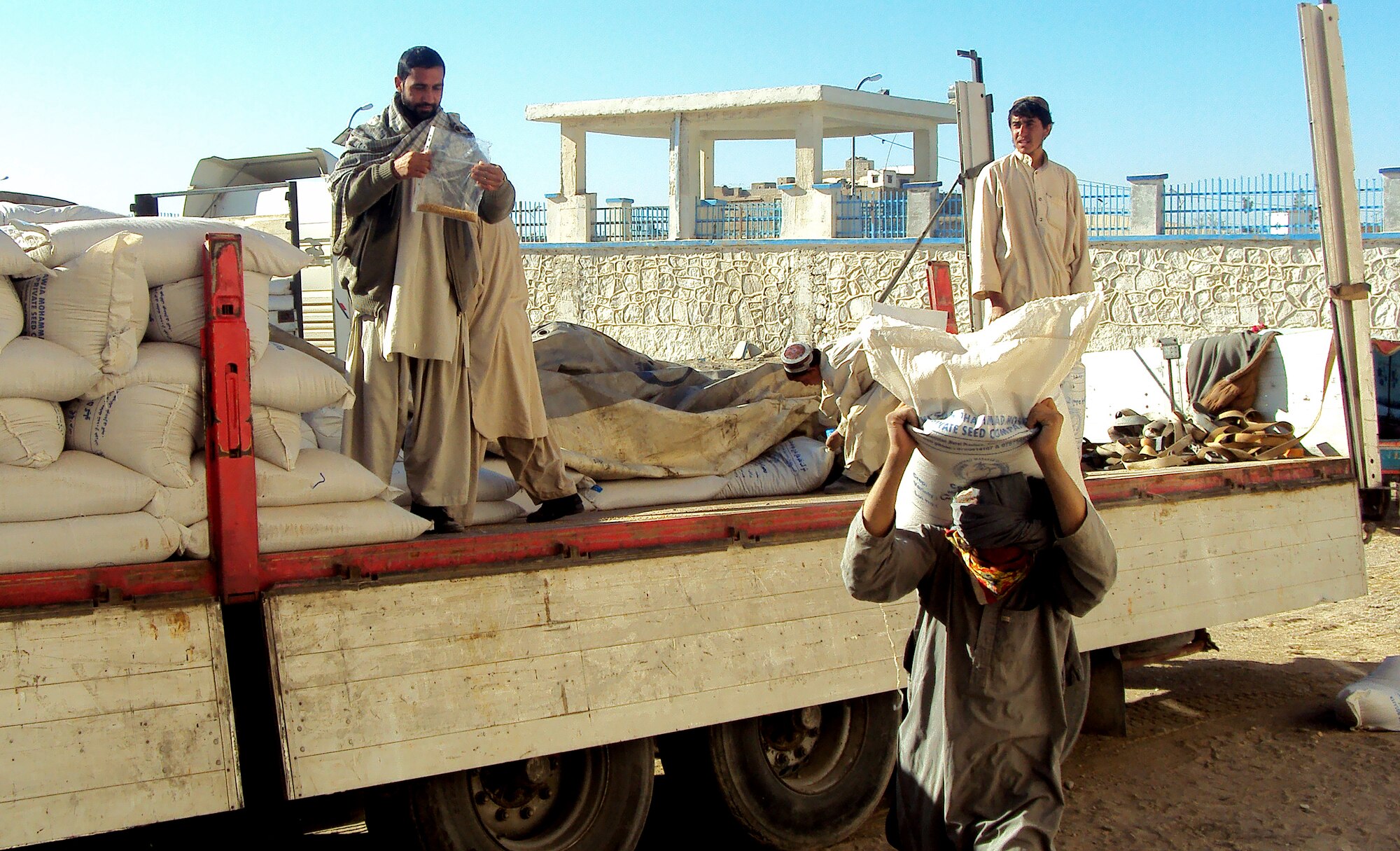 Afghans off-load wheat seed rom a truck upon delivery to Qalat City, Zabul province, Afghanistan, Nov. 25. The seed is being delivered to supply farmers for the winter planting season, part of the National Seed Distribution Program. The seed will benefit 260,000 farmers in 31 of Afghanistan's 34 provinces. (U.S. Air Force photo by Staff Sgt. Brian Ferguson/Released)


