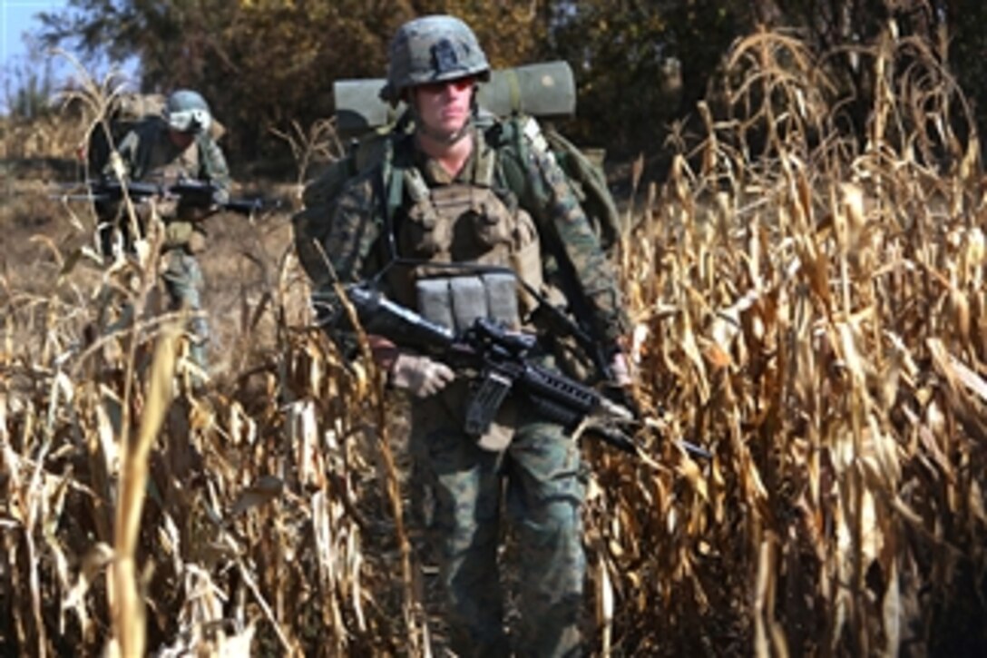 U.S. Marine Corps Lance Cpl. Zachary Allen (right) walks through a corn field during an operation near Forward Operation Base Jackson, Afghanistan, on Nov. 23, 2010.  Zachary is an infantryman assigned to India Company, 3rd Battalion, 5th Marine Regiment.  The Marines stayed in the southern Green Zone for more than a day to observe and search for the Taliban.  