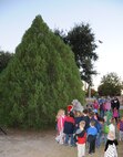 LAUGHLIN AIR FORCE BASE, Texas – Several of Laughlin’s youth help Col. Michael Frankel, 47th Flying Training Wing commander, light Laughlin’s Christmas tree Dec. 1. The tree lighting was followed by Dinner with Santa where children were able to meet Santa and share their Christmas lists. (U.S. Air Force photo by Airman 1st Class)