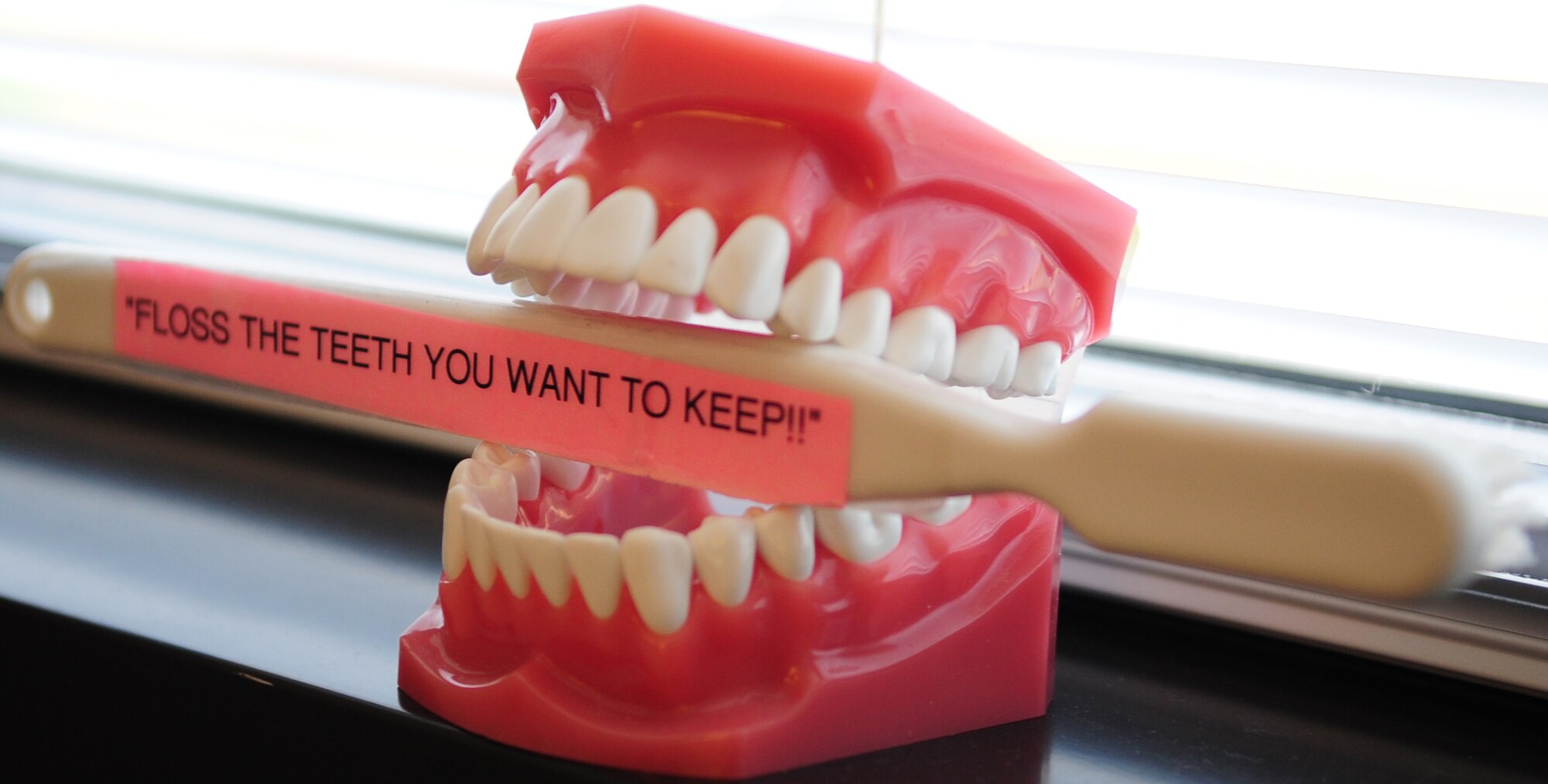 MOODY AIR FORCE BASE, Ga.-- Teeth mold and toothbrush remind personnel to continue flossing. Flossing helps to keep  teeth healthy by removing food debris and plaque from areas a toothbrush can't reach. (U.S. Air Force photo/Senior Airman Stephanie Mancha)(RELEASED)