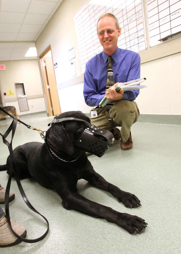 Dr. Walter Burghardt evaluates the behavior of a military working dog. Dr. Burghardt is the chief of Behavioral Medicine and Military Working Dog Studies at Lackland's Daniel E. Holland MWD Hospital. (U.S. Air Force photo/Robbin Cresswell)
