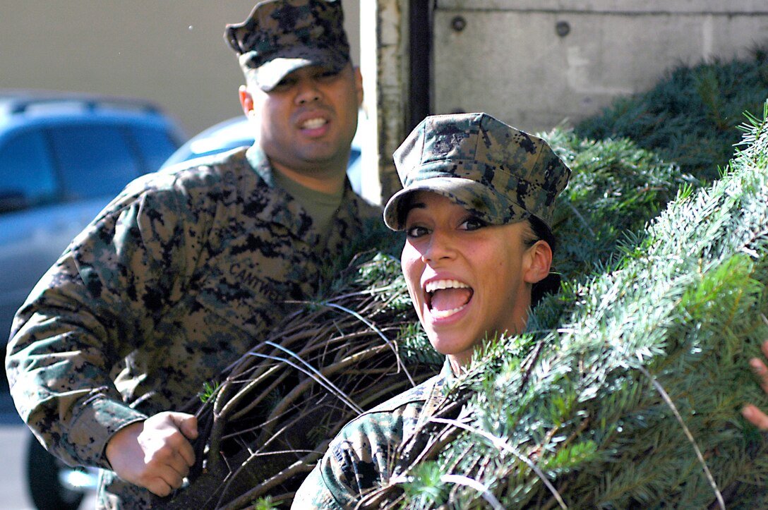Lance Cpl. Henrietta Verduzco, administrative clerk with the Consolidated Personnel Administration Center, and Sgt. David A. Cantwell, police sergeant, Headquarters Company, both with Headquarters and Service Battalion, each carry a Christmas tree to the Family Service Center at Marine Corps Recruit Depot San Diego Dec. 2 as part of the “Trees for Troops” program. The program, which is sponsored by the Christmas Spirit Foundation and FedEx, has delivered more than 67,000 trees to servicemembers on U.S. military bases and overseas since it began in 2005. Military members and their families lined up at 8 a.m. to wait for the trees to be distributed. Each family was able to walk around the lot and choose their tree. The event also included holiday cookies, apple cider and carolers to help get the families into the holiday spirit.