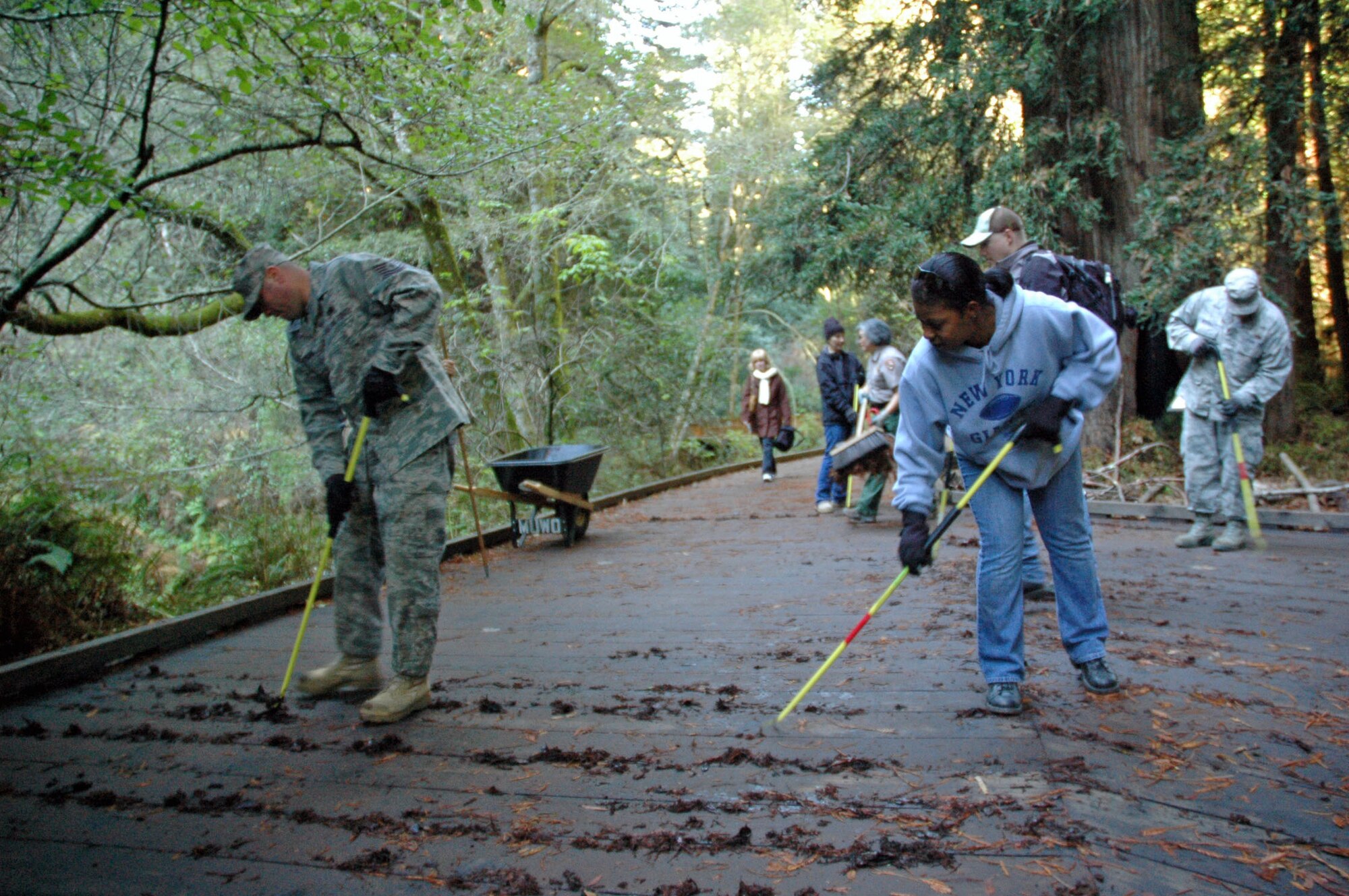 Members of the 60th Aerial Port Squadron gather mulch and perform deck flossing Nov. 29 as part of a restoration project at Muir Woods National Monument. (U.S. Air Force photo/ Tech. Sgt. Renni Thornton)
