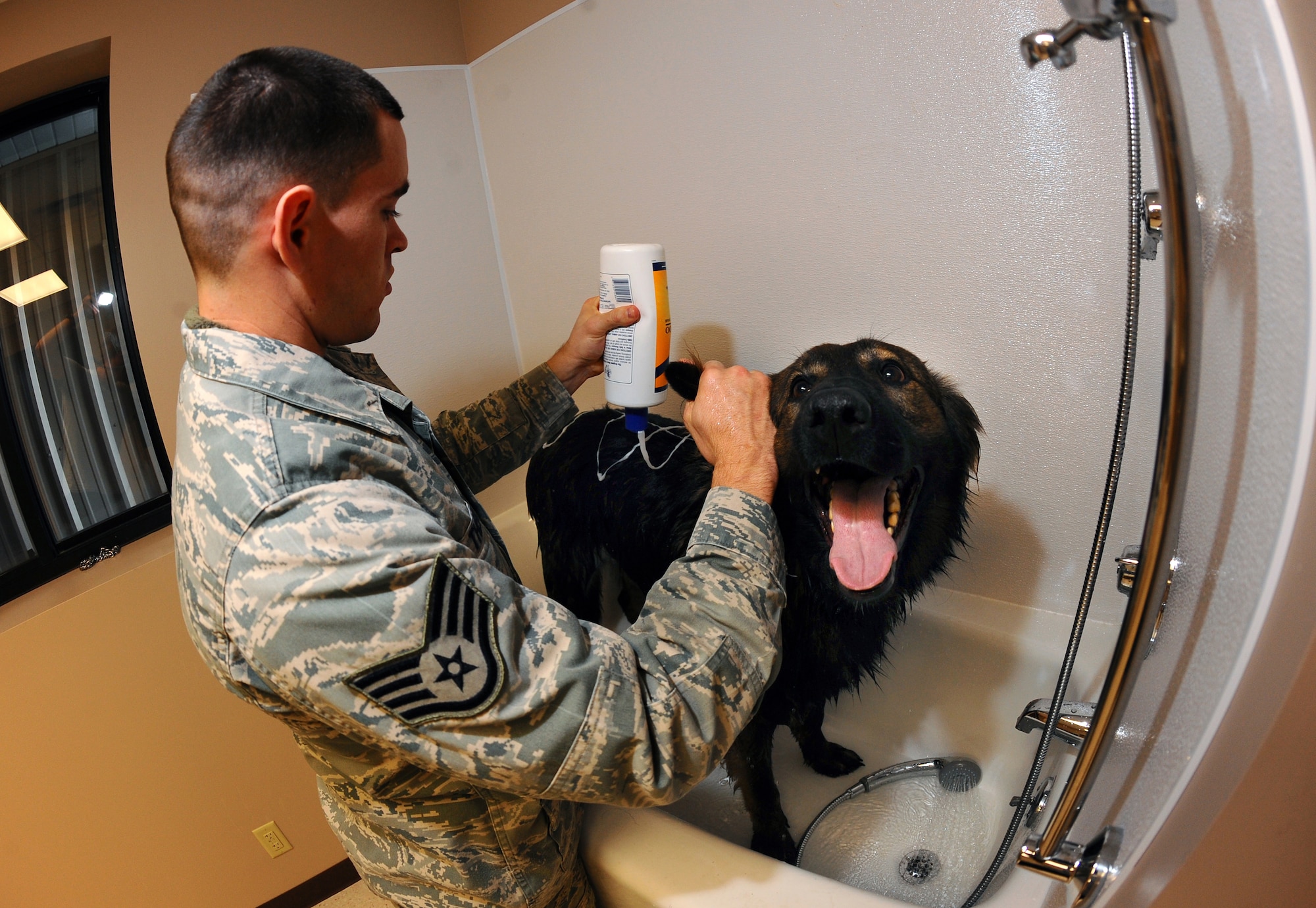 OFFUTT AIR FORCE BASE, Neb. - Dasty, a three-year-old male Belgian Tervuren, gets his monthly bath by his partner Staff Sgt. Joel Therrien, a military working dog handler with the 55th Security Forces Squadron, Dec. 1.  Cleanliness is essential to keeping the dogs healthy and mission ready.  U.S. Air Force Photo by Josh Plueger (Released)