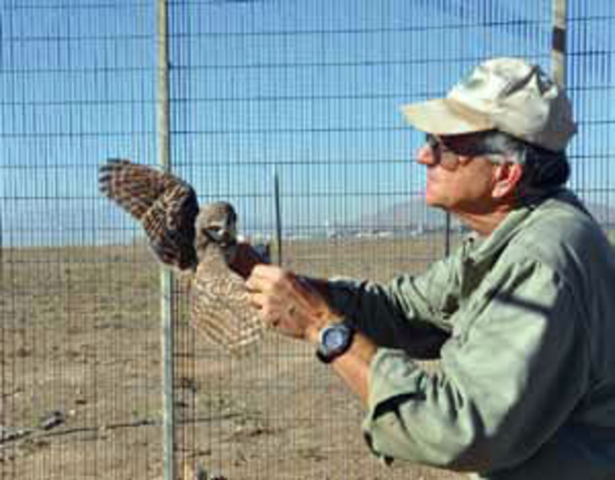 Dr. Lincer releases the first of the two owls into the cage. The cage will remain over the burrow for approximately five weeks to give the owls a chance to adjust to their new burrow. (U.S. Air Force photo by Megan Just)