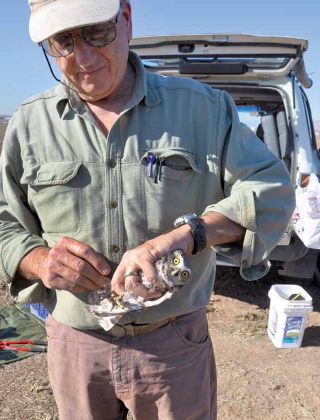 Dr. Jeffrey Lincer, prepares to band a burrowing owl just before releasing it to a cage above its new burrow on the base, Nov. 17. (U.S. Air Force photo by Megan Just)
