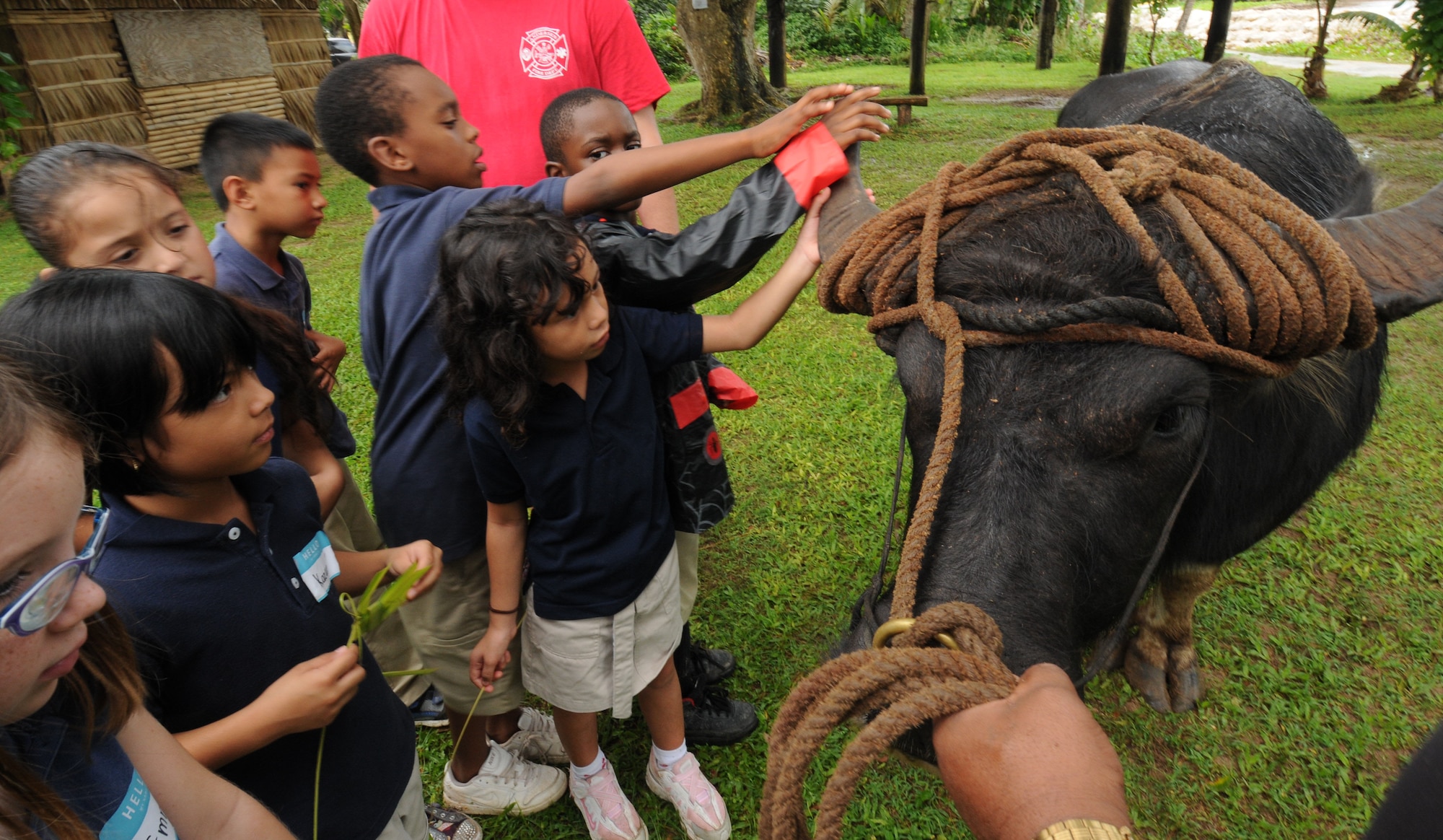 Second graders from Andersen Air Force Base pet a caribou at Gef Pa’go Chamorro Cultural Village during a recent field trip to the village. The students were able to experience other various Chamorro cultures such as how to weave coconut leaves, how to grate a coconut, and how to make rope out of coconut leaves. (U.S. Air Force photo by Master Sgt. Carrie Hinson/Released)