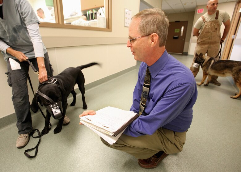 Dr. Walter Burghardt evaluates the behavior of a military working dog Sept. 11, 2010, at Lackland Air Force Base, Texas. Dr. Burghardt is the chief of Behavioral Medicine and Military Working Dog Studies at Lackland's Daniel E. Holland MWD Hospital. (U.S. Air Force photo/Robbin Cresswell)
