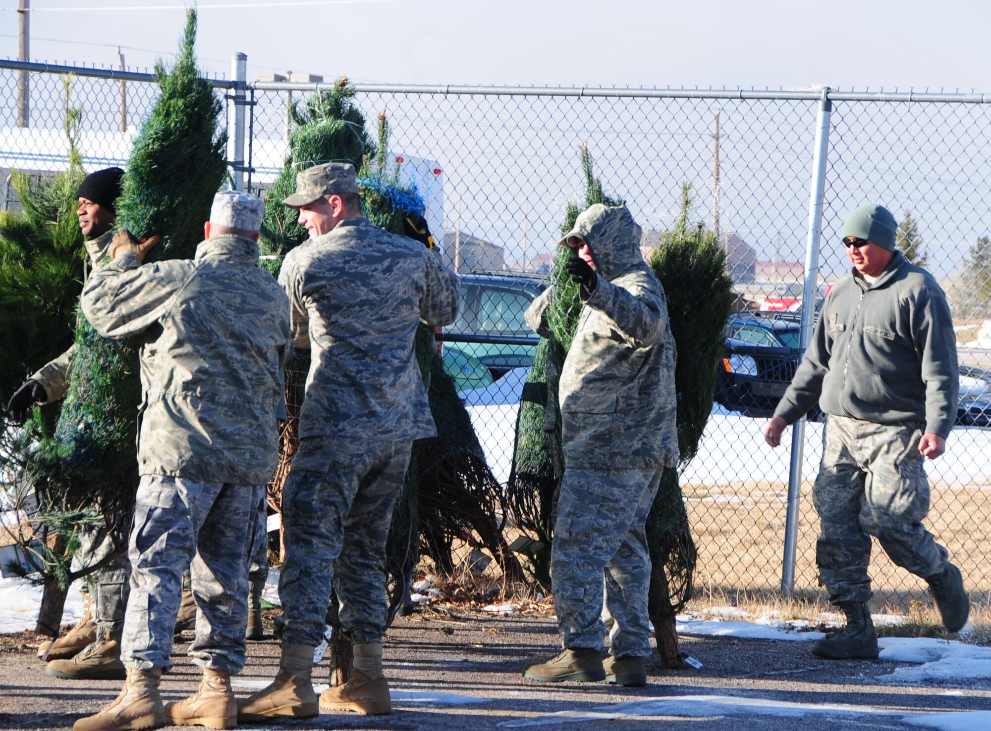 ELLSWORTH AIR FORCE BASE, S.D. -- Ellsworth Airmen work together to unload 300 Christmas trees for the "Trees for Airmen" program, Dec. 3.  The program provides free trees for Airmen and their families over the holidays. (U.S. Air Force photo/Senior Airman Anthony Sanchelli)
