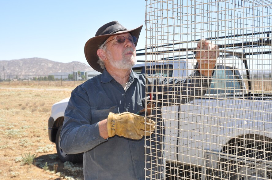 James Newland, a volunteer with Wildlife Research Institute, constructs a hack cage that will be used to contain a pair of burrowing owls as they adapt to their new burrow at March Air Reserve Base, Calif., Sept. 1, 2010.  The new burrows are located in a remote section of the base and will serve as habitat for the owls, that are being displaced by the construction of an indoor firing range. Burrowing owls are a Species of Critical Concern in California.  (U.S. Air Force photo/Megan Just)
