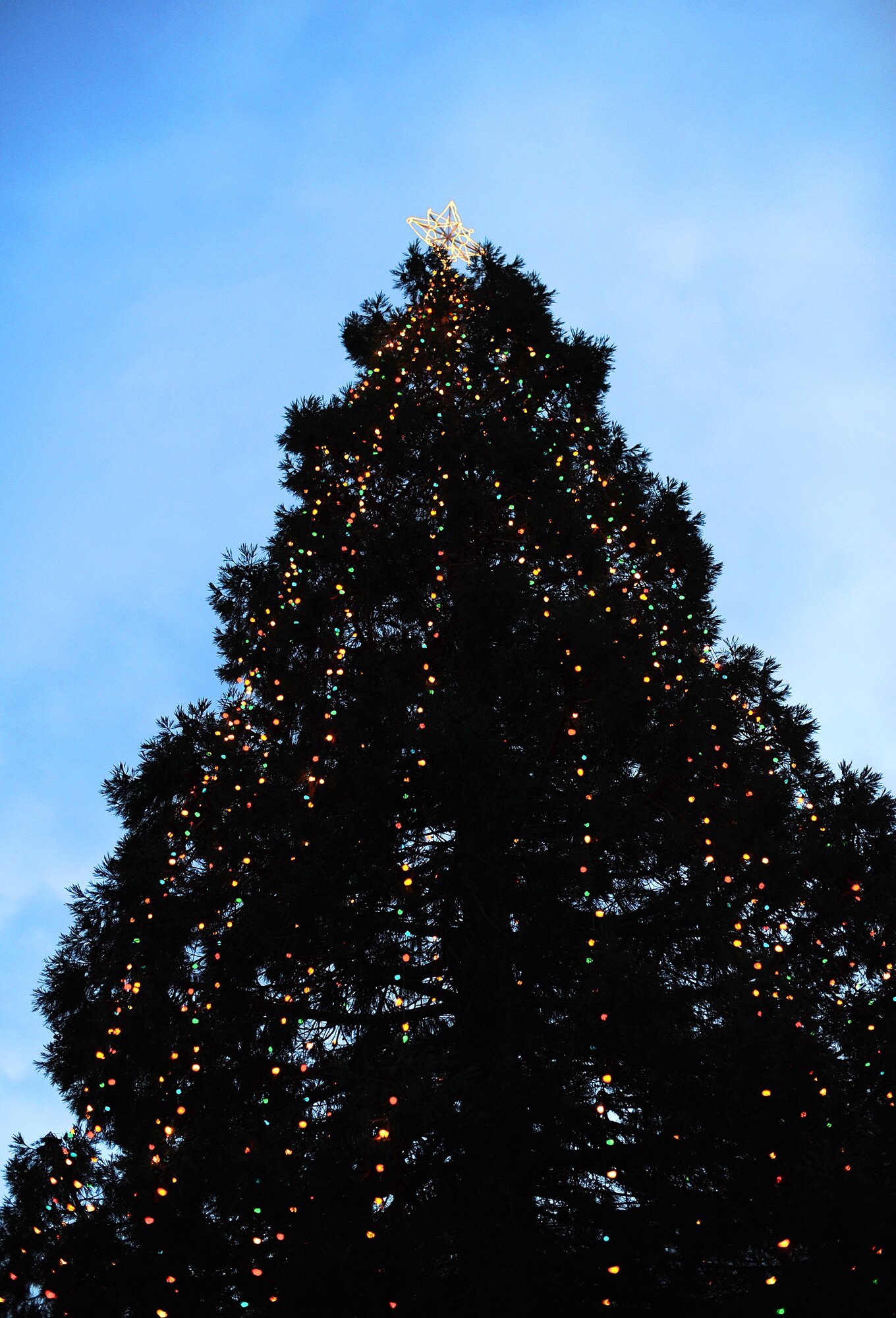 Christmas tree lights illuminate the sky Dec. 6 as the McChord Field Chapel Support Center hosts the annual tree-lighting ceremony at McChord Field, Joint Base Lewis-McChord, Wash. More than 80 people attended the event. (U.S. Army photo/Ingrid Barrentine)
