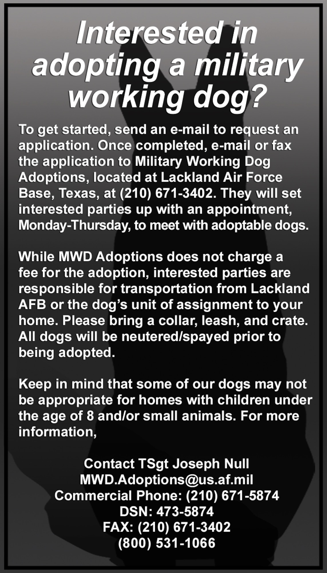 Public Law 106-446 makes the dog available for adoption to law enforcement agencies, former handlers of these dogs and other persons capable of caring for them. Rudy will be put up for adoption. In Rudy's case, he was not deemed suitable for law enforcement. He is available for public adoption. (U.S. Air Force graphic/Adamarie Lewis-Page) 