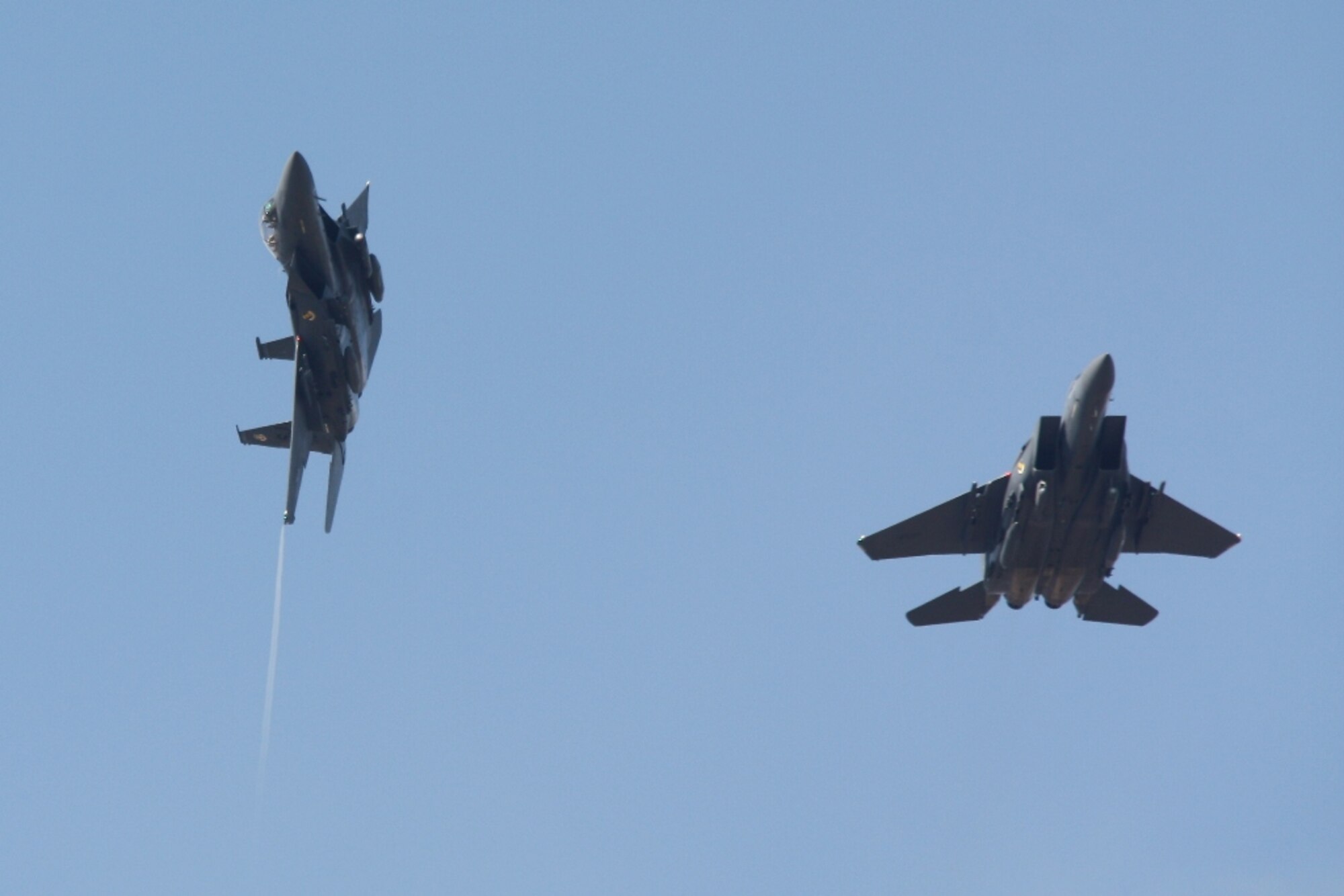 NASHVILLE, Tenn. – F-15E Strike Eagles from the 334th Fighter Squadron fly over LP Field during an NFL game between the Tennessee Titans and the Washingon Redskins Nov. 21, 2010. The game ended with a final score of 19 to 16 with the Redskins winning the game. (Photo by Antionio More)