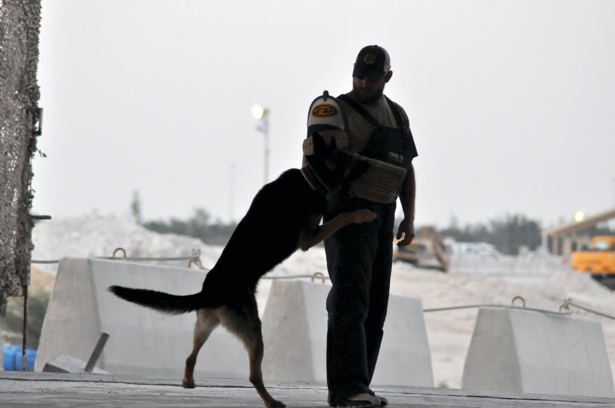 Gary Reash works with MWD Cezar during a demonstration. He tries to give the animal a real world experience to help prepare him for an actual hostile situation. U.S. Air Force photo/Staff Sgt. Nika Glover