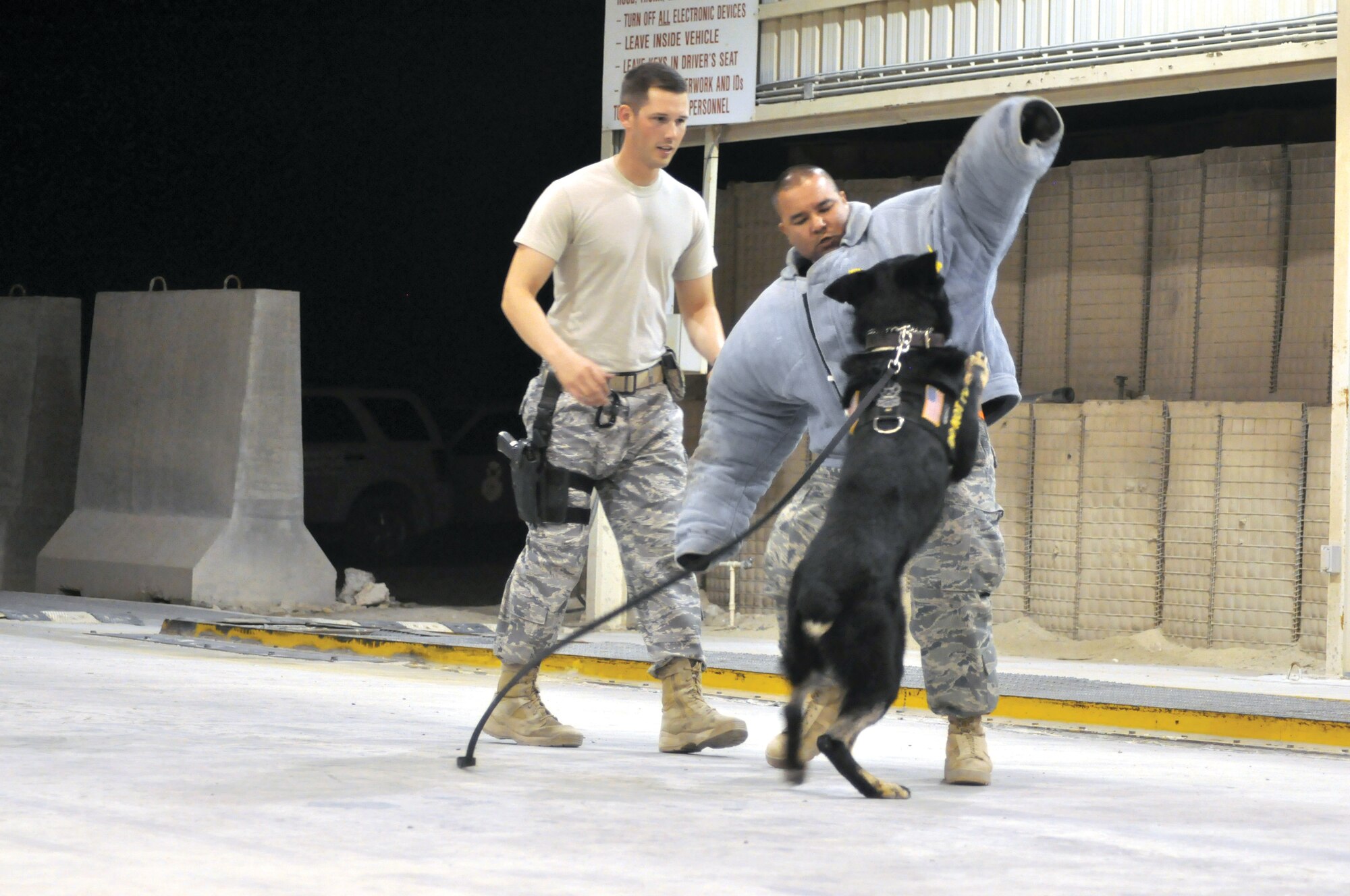 Staff Sgt. James Colip and Tech. Sgt. Adolph Rodriguez, 379th ESFS military working dog handlers, demonstrate a military working dog’s capabilities during a hostile situation. MWD Cezar is capable of attacking on command.  U.S. Air Force photo/Staff Sgt. Nika Glover