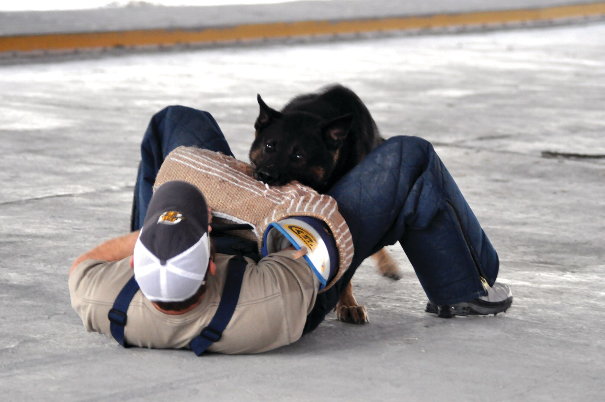 Mr. Reash is taken down by MWD Cezar during a practice session. The dog is trained to suppress hostile individuals on command. U.S. Air Force photo/Staff Sgt. Nika Glover