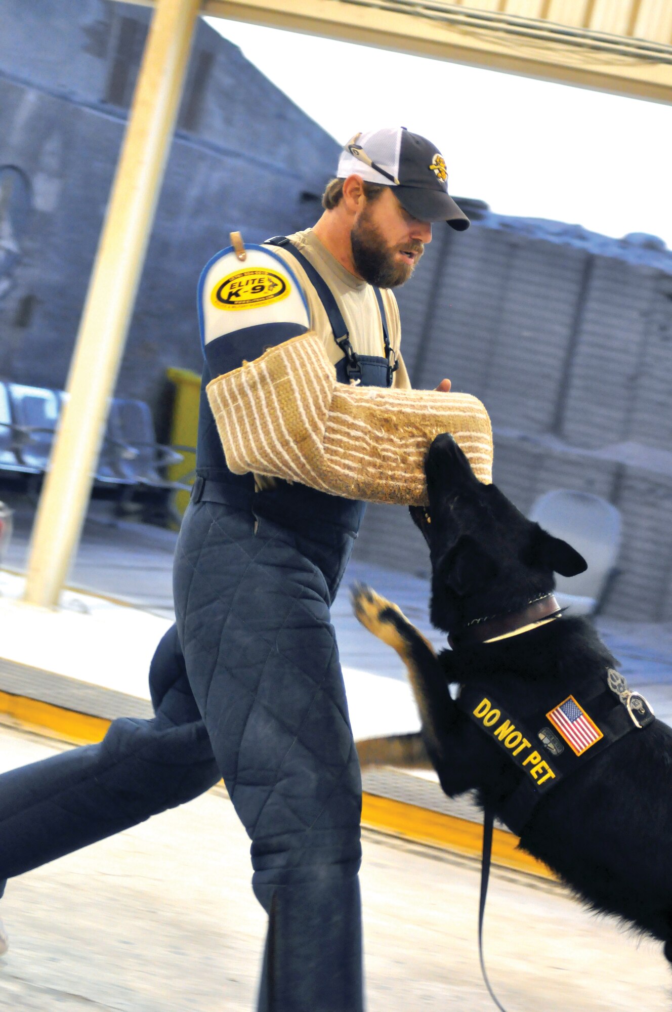 Cezar, a military working dog, attacks   Gary Reash, 379th Expeditionary Security Forces Squadron dog handler, on command during a military working dog demonstration here Nov. 12. 