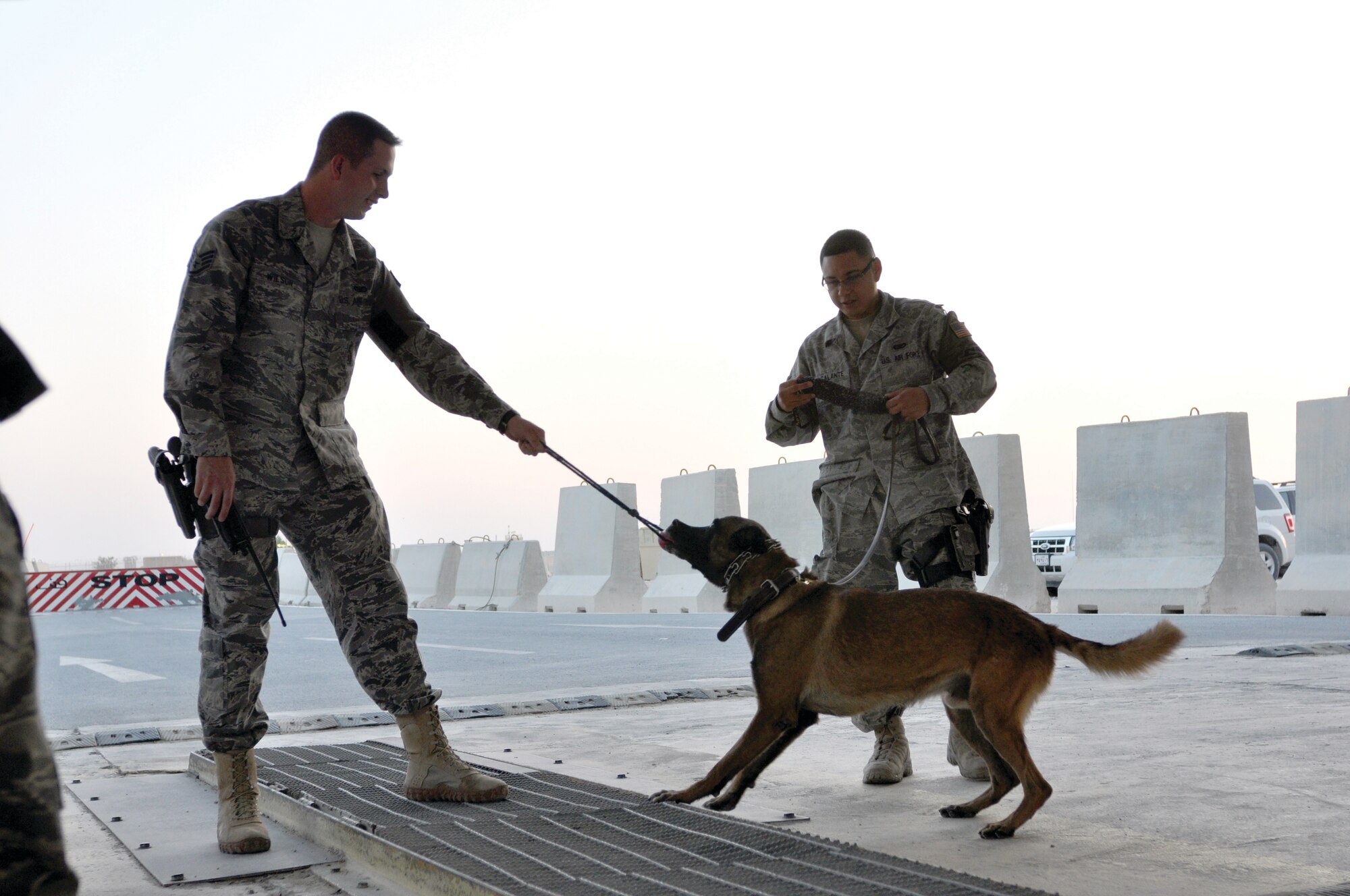 Staff Sgts. Robert Wilson and Aaron Escalante play with MWD Rex. During training sessions with the working dogs, trainers use rewards and play time as a learning tool. U.S. Air Force photo/Staff Sgt. Nika Glover 