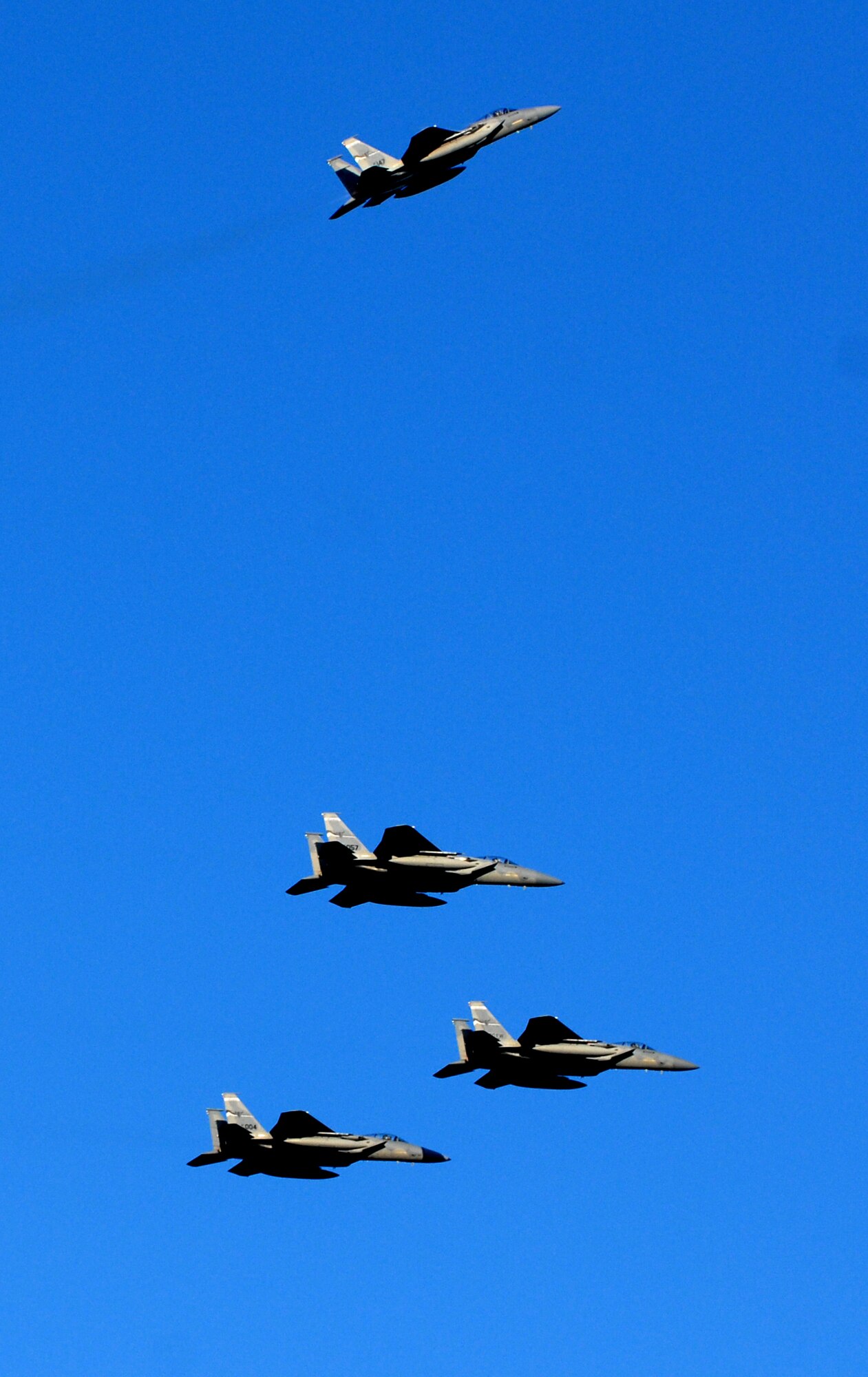 Montana Air National Guard's 186th Fighter Squadron F-15s flew a four-ship missing man formation over a commemoration ceremony at the Pearl Harbor Visitors Center at the World War II Valor in the Pacific National Monument Dec. 7, 2010. (U.S. Air Force photo by Staff Sgt. Carolyn Viss)