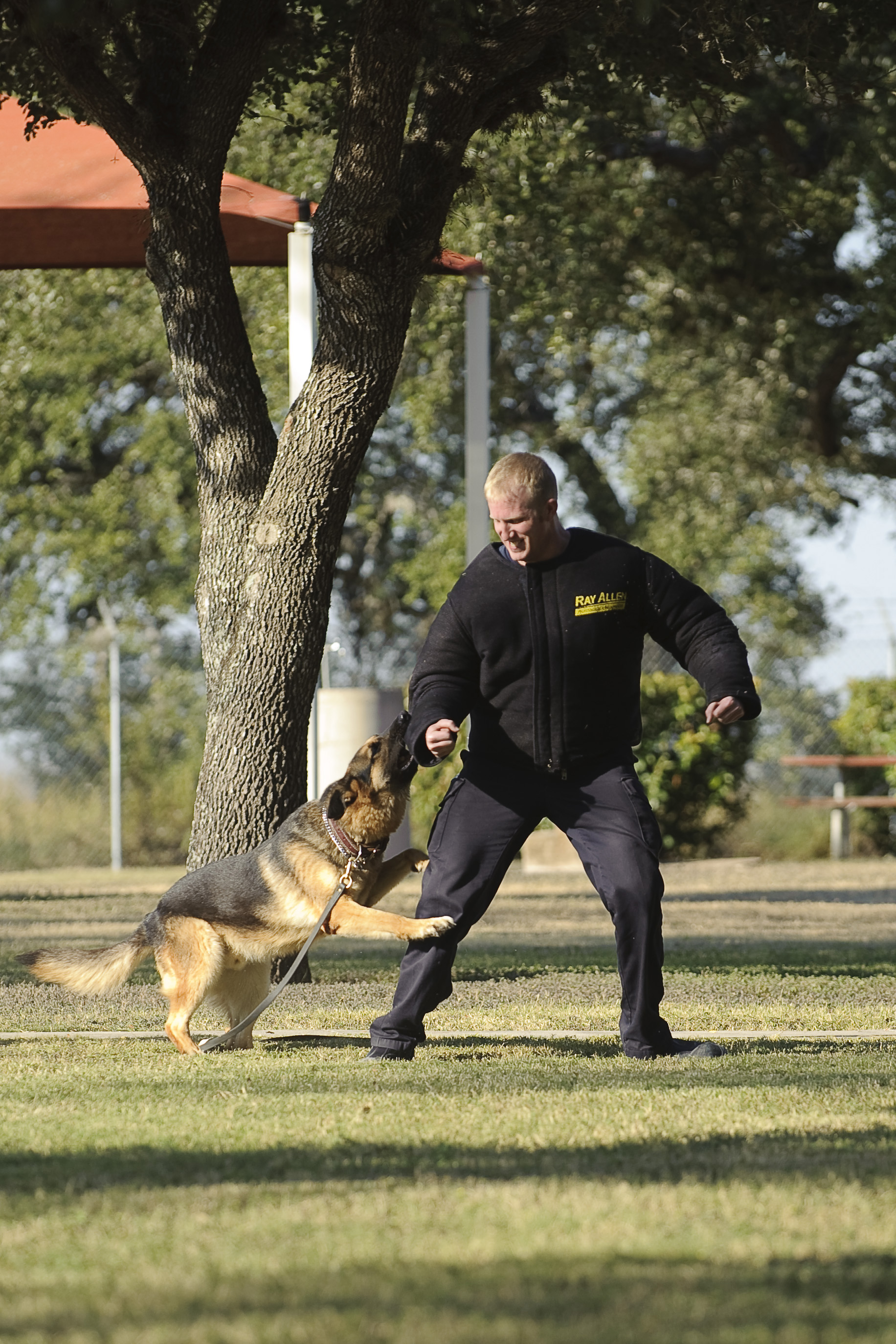 Battle of the badges