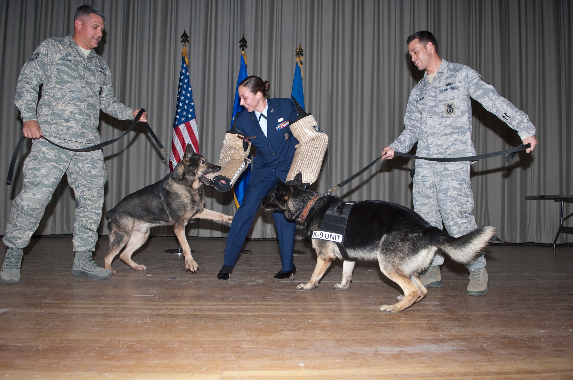 Two military working dogs and their handlers – Tech. Sgt. Robert Novak, left, and Staff. Sgt. Brandon Ouderkirk, both from the 95th Air Base Wing Security Forces Squadron – help promote Senior Airman Kathryn Jackson to the rank of staff sergeant. The Team Edwards Third Quarter Awards Ceremony, Nov. 30, held at the Base Theater, honored seventeen Airmen who were promoted to new ranks. The quarter’s top enlisted, commissioned and civilian professionals were also recognized during the ceremony. (Air Force photo by Michael Yncera)